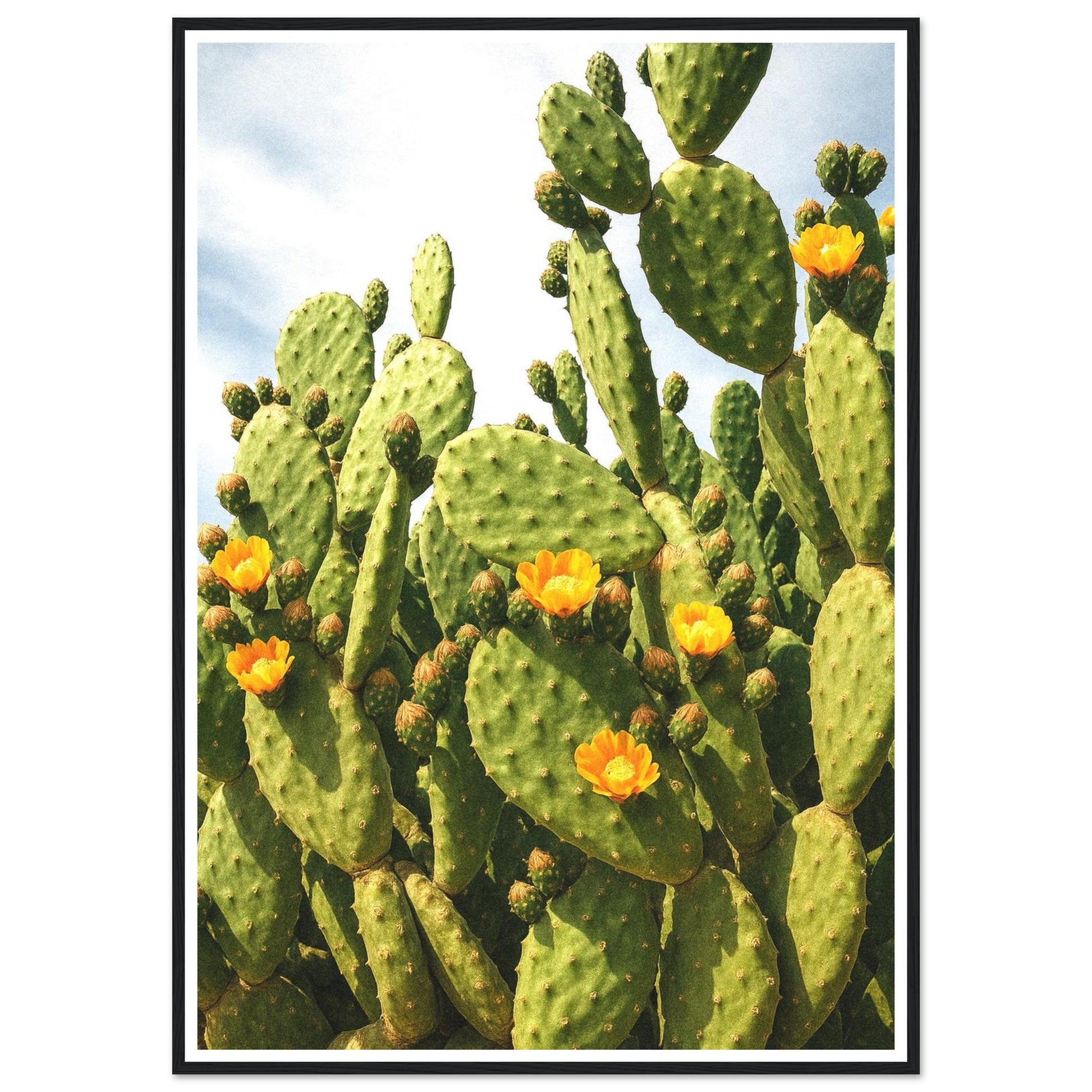 0046ed19-1f28-4277-b61b-7ba3a180957a