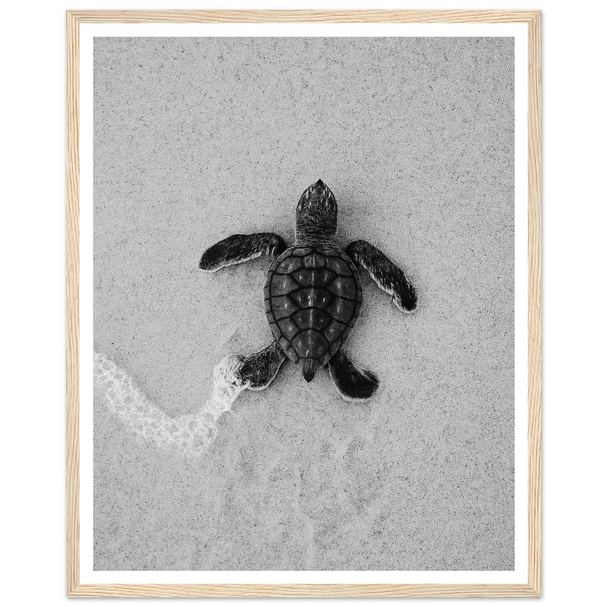 0529bc42-a85c-4690-b5cf-41ab06649aef