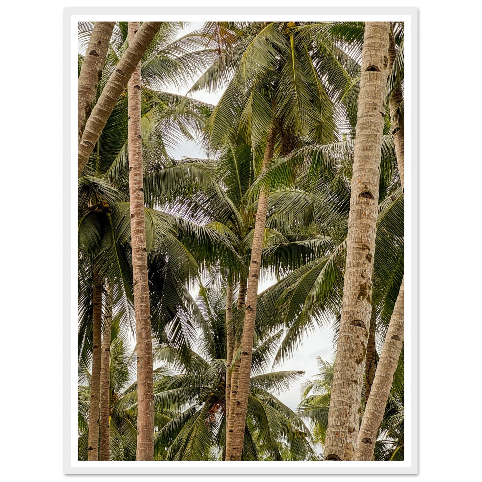 1258b3e5-44bd-4626-9640-622836ee48d3