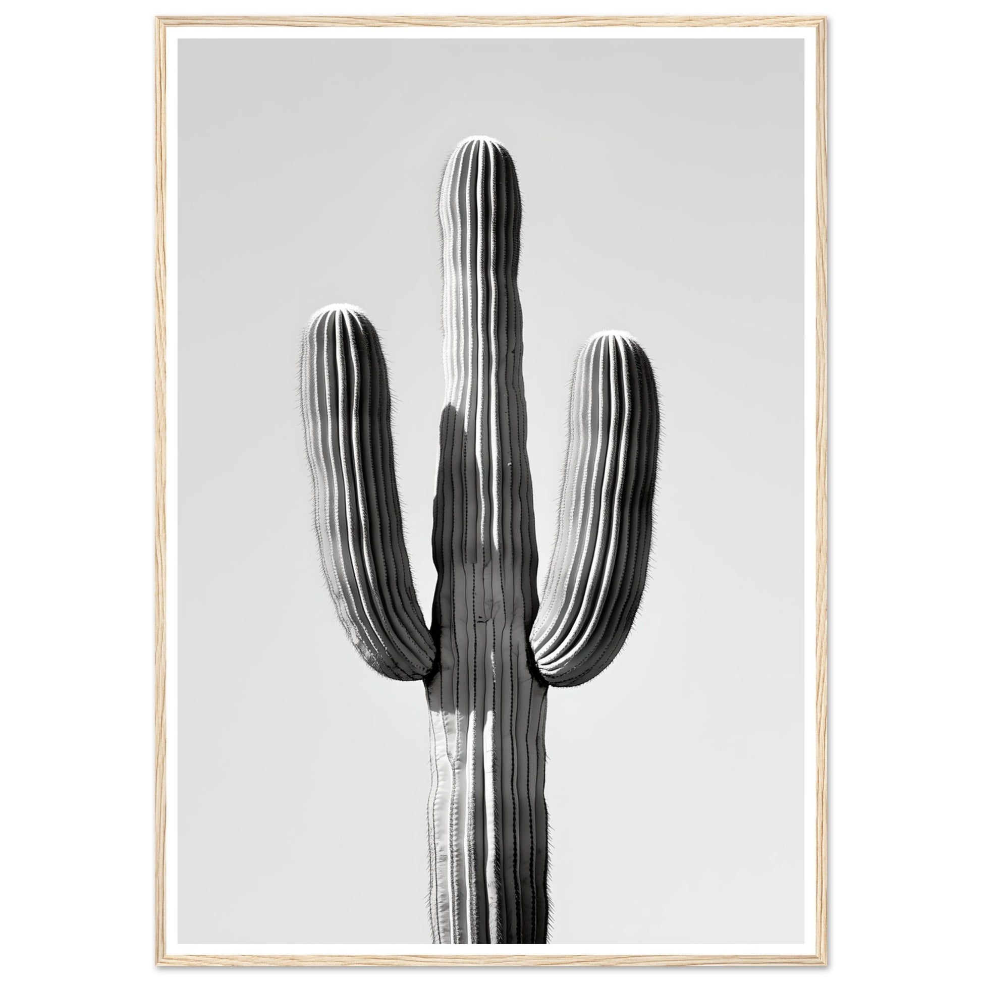 16d362f8-6f8a-4241-92d6-f16c42793892