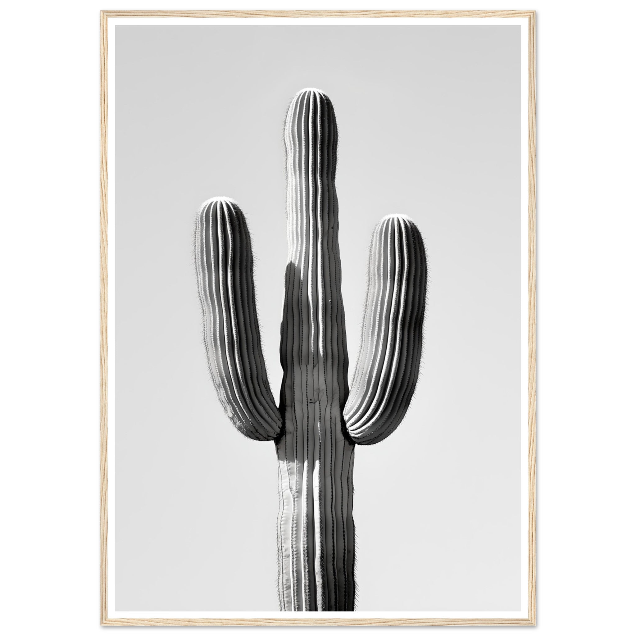 16d362f8-6f8a-4241-92d6-f16c42793892