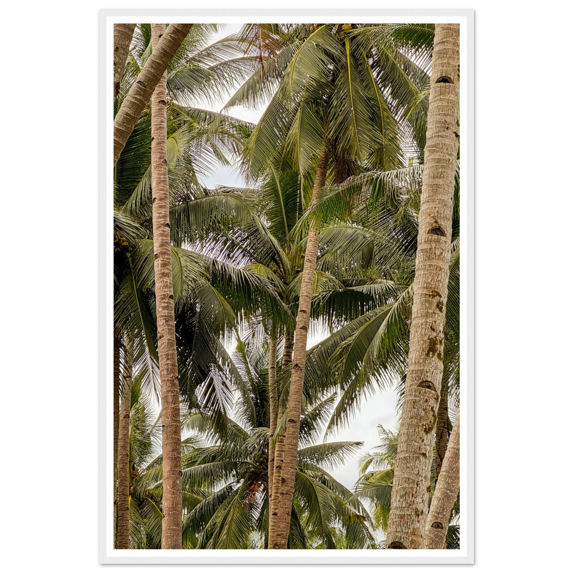 19290cff-bb18-4aac-a033-d59d752a042d