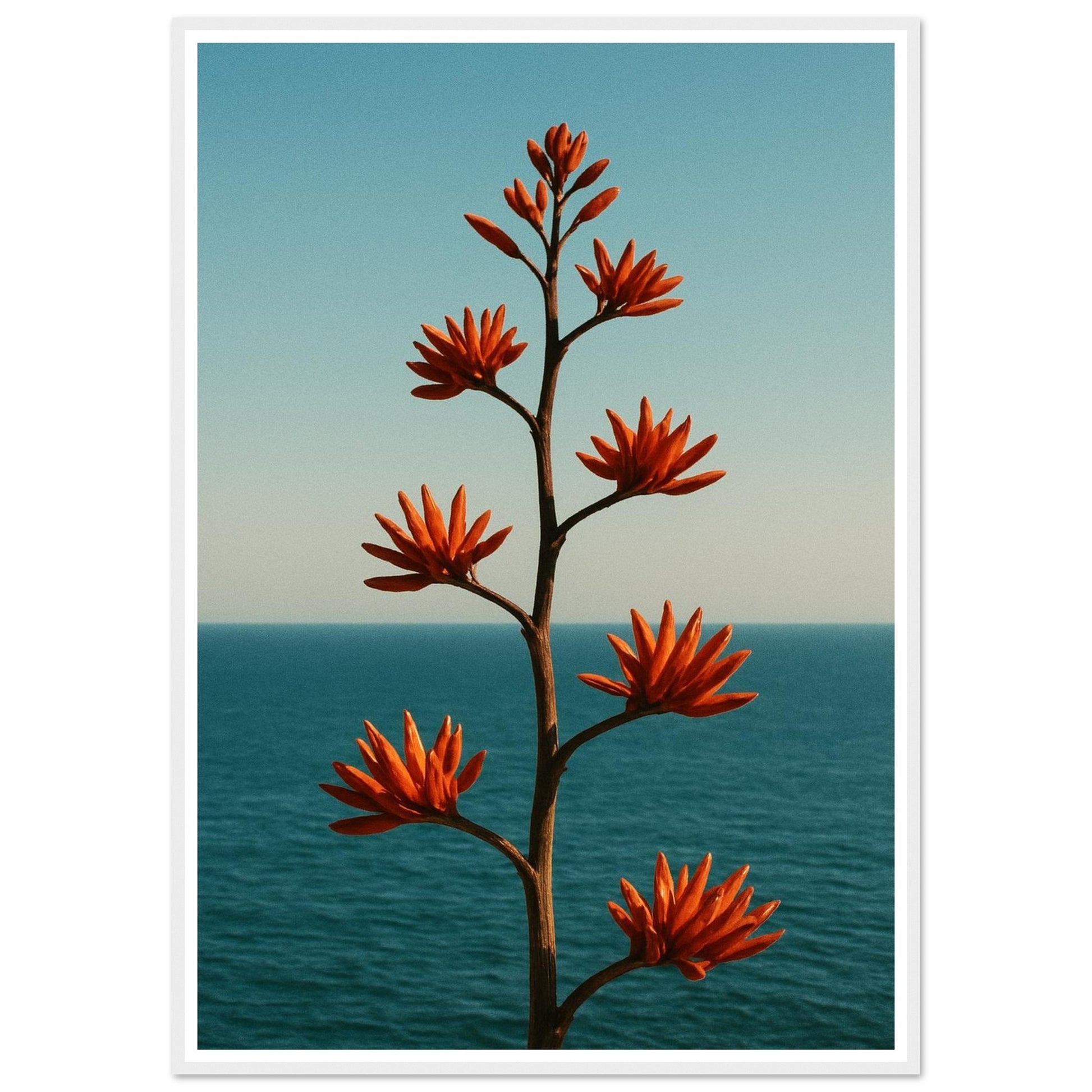 1983ebd2-f4fc-4b16-aefa-ea63a4d8b01a