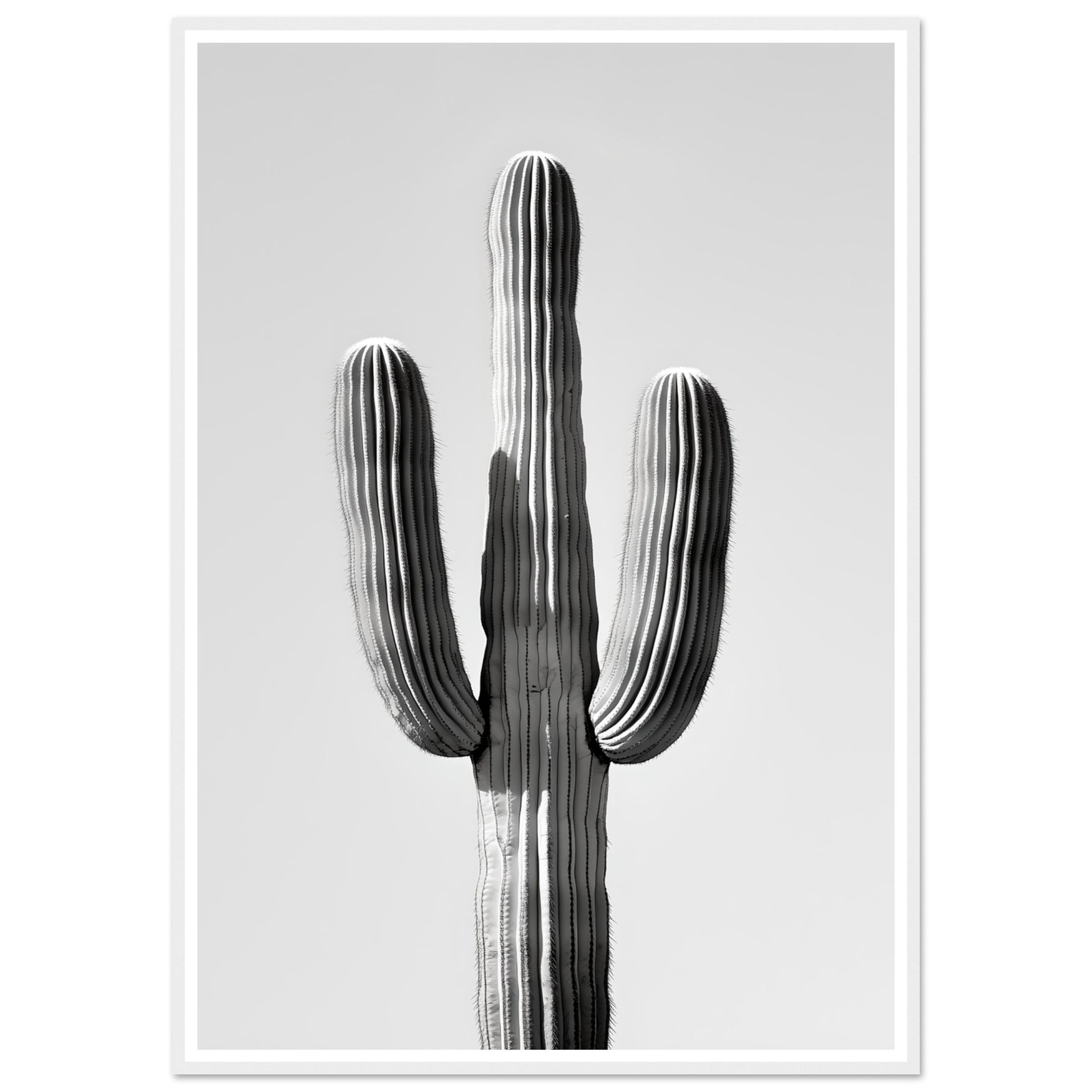 1d11b583-200e-4d3d-8456-0466609160c5