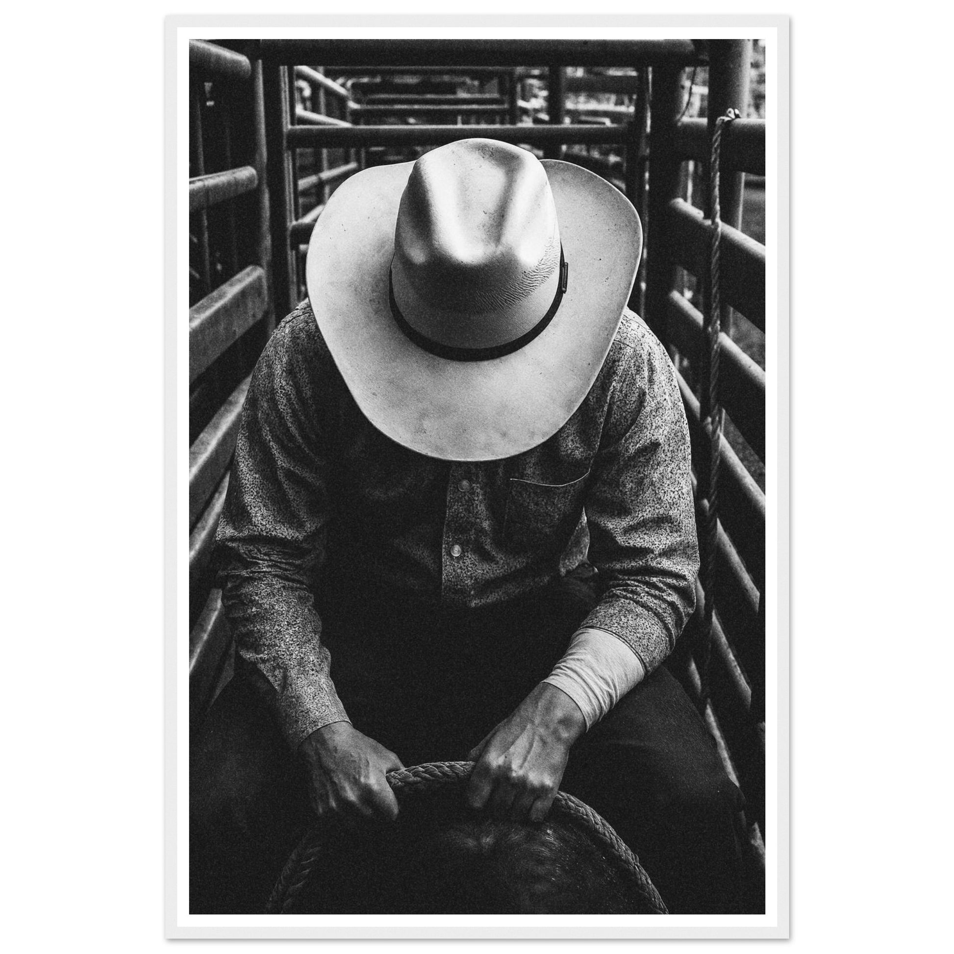 20c50ae5-20da-42d2-a819-169643c3a199