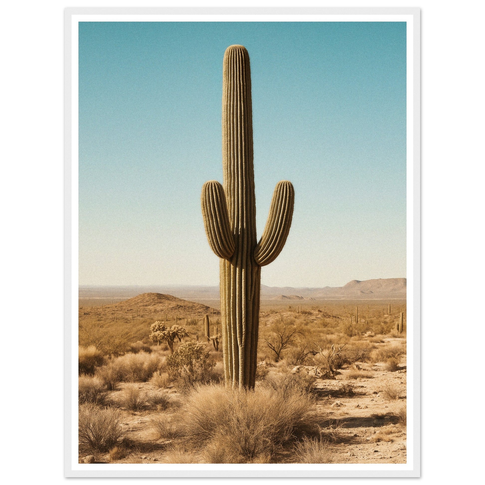 24d6d5e6-7196-4276-811b-e35b516ae871