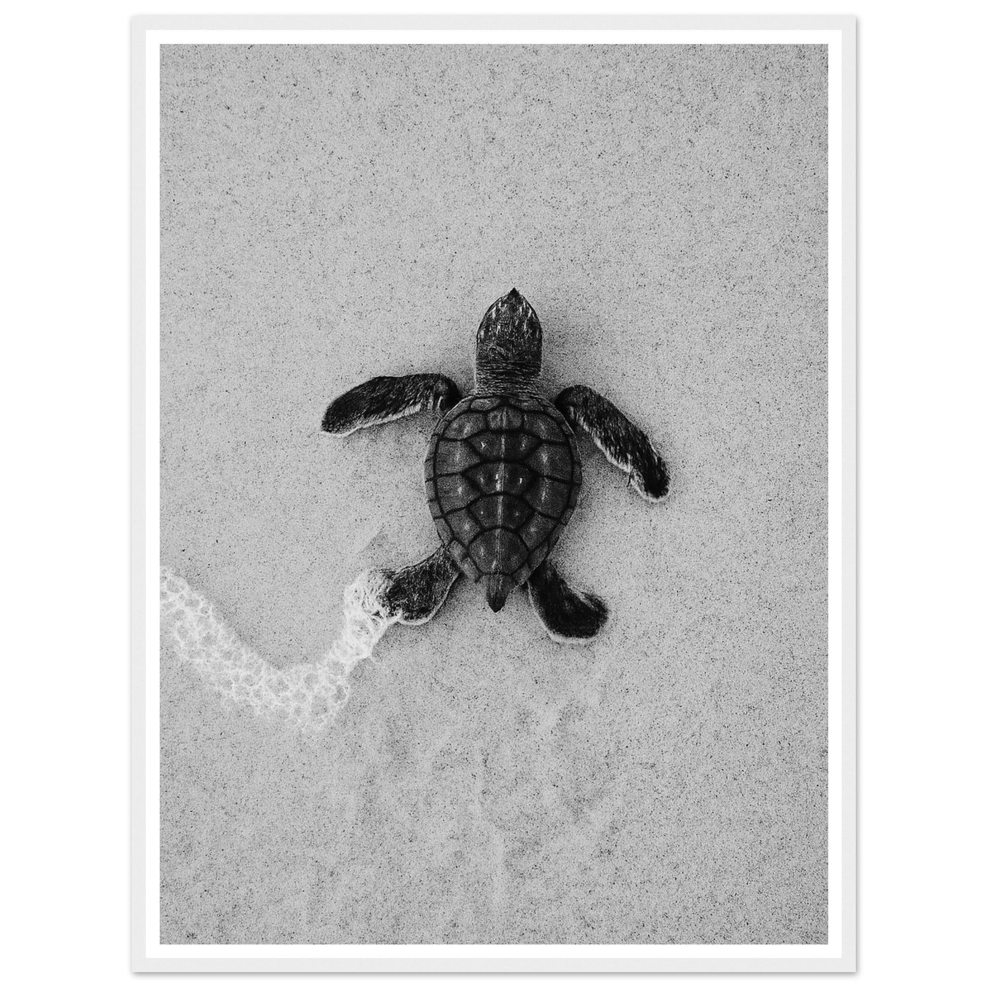 28f0fd2c-00fd-460a-850c-5845319e68af