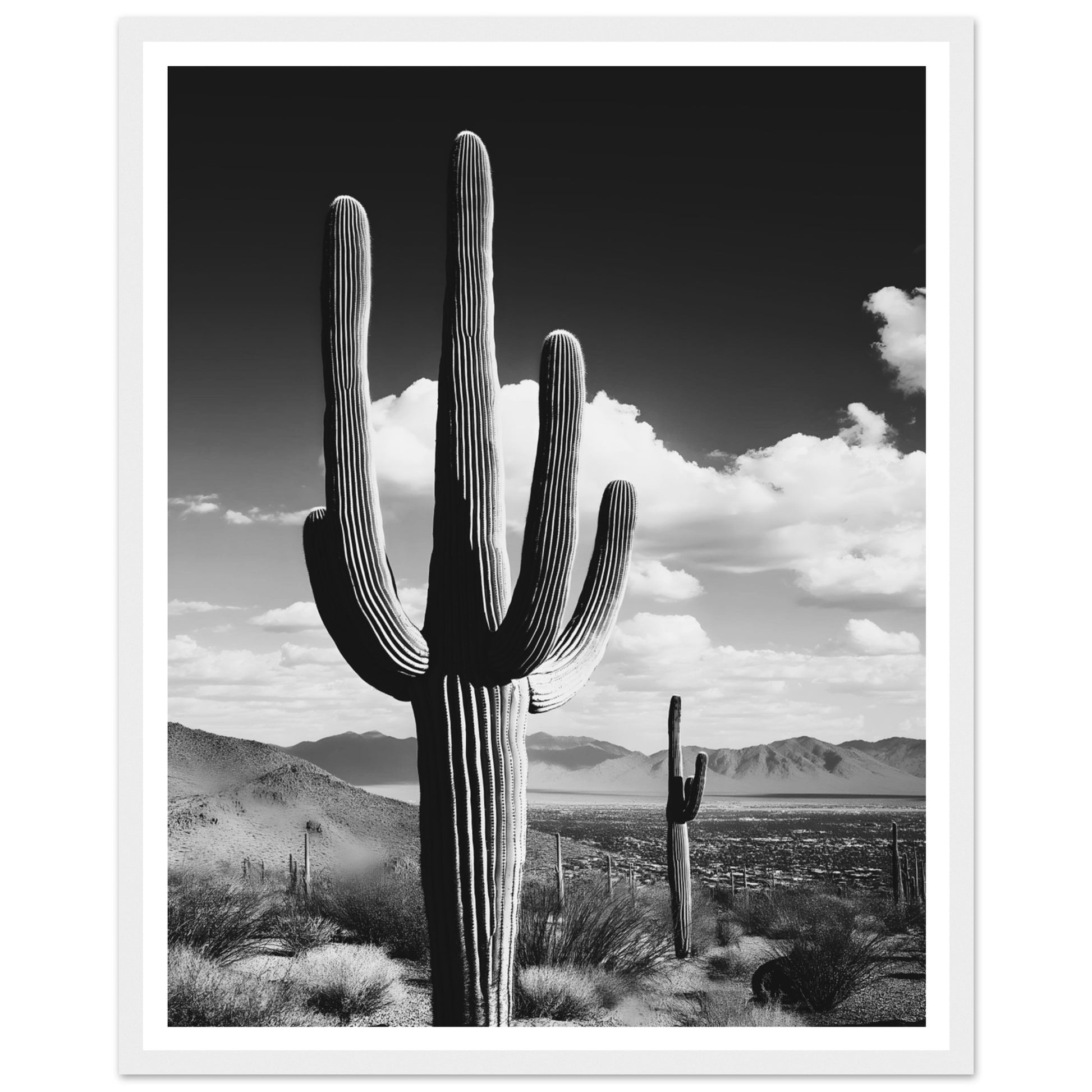 297e0e44-e19e-4139-8325-e27dea2517f5