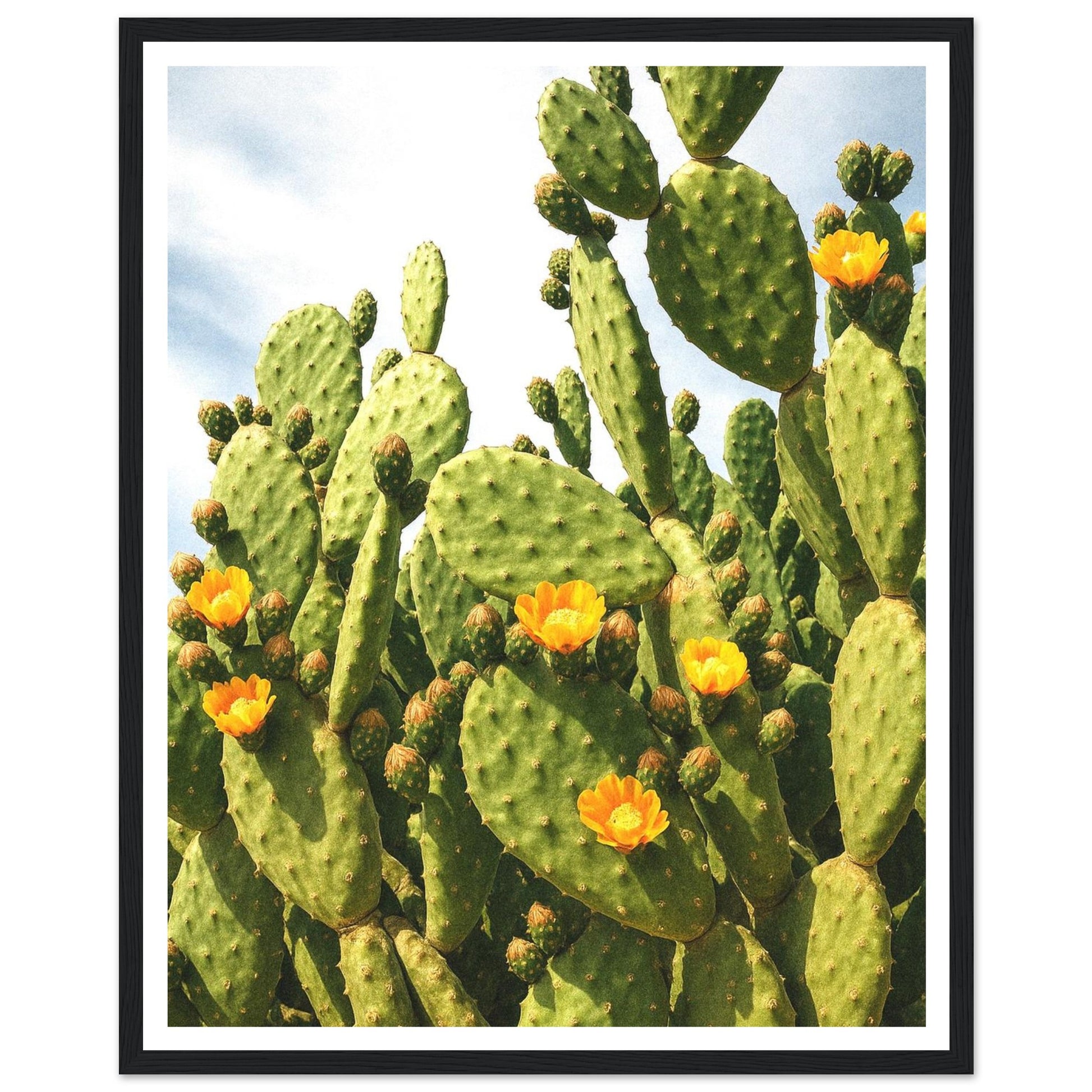 2ae9bd10-658b-44e0-994b-d69b3dcd7109