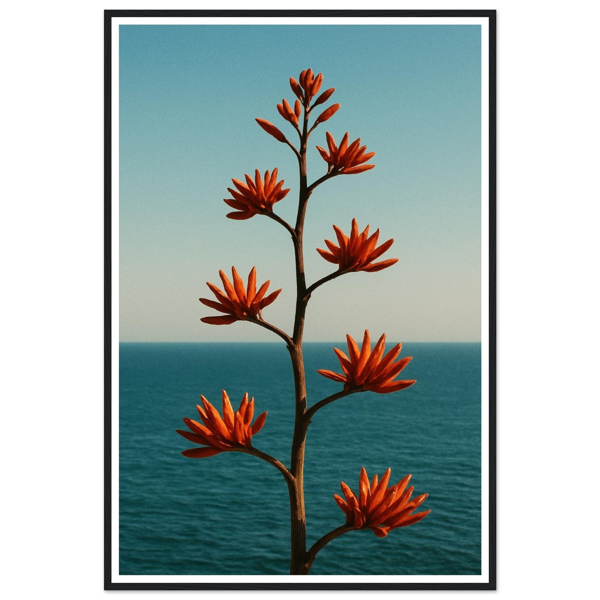 2b0da834-acb9-4ad7-a9b0-539ca63adaf2