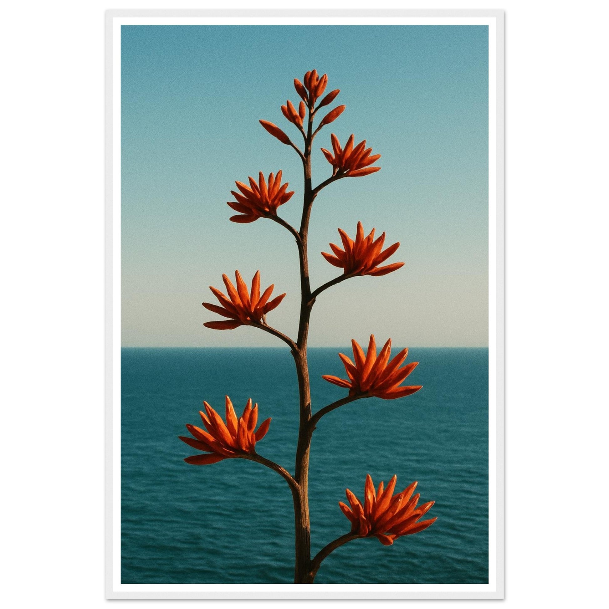 2c8b2e1b-477d-4ef0-a93a-a4fa353ab33e