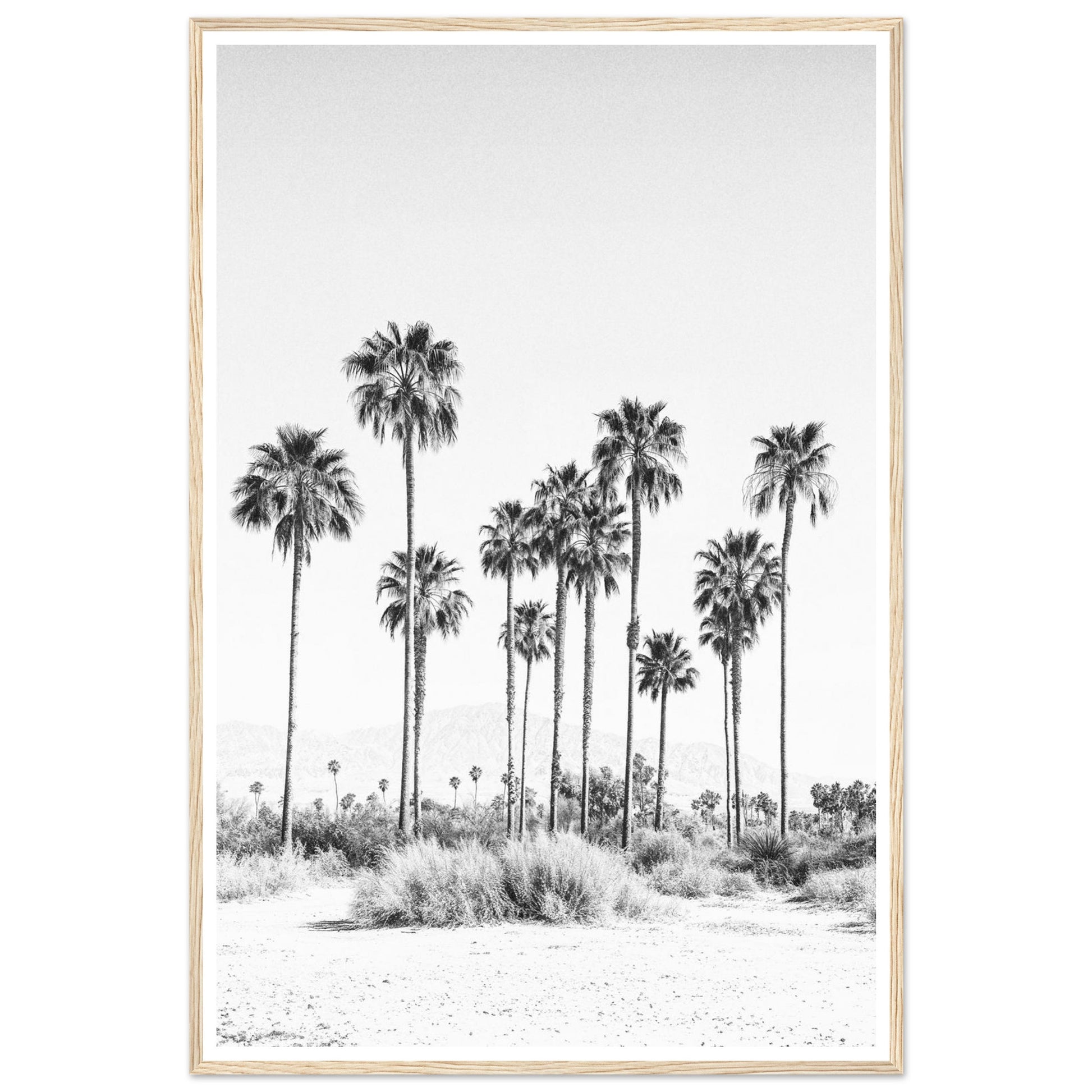 2e2c1672-ffcc-43ba-8dd3-b3b62cf30612