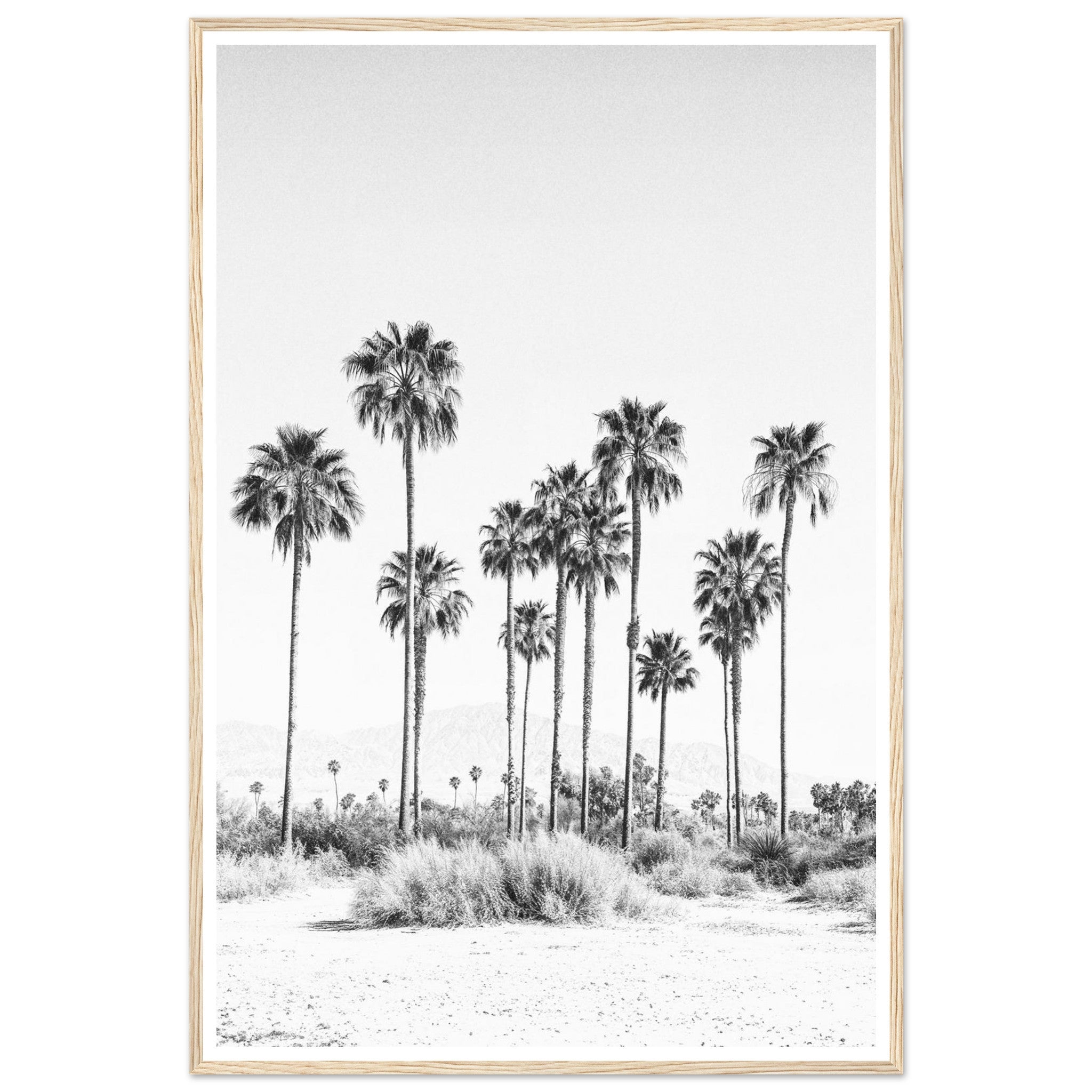 2e2c1672-ffcc-43ba-8dd3-b3b62cf30612