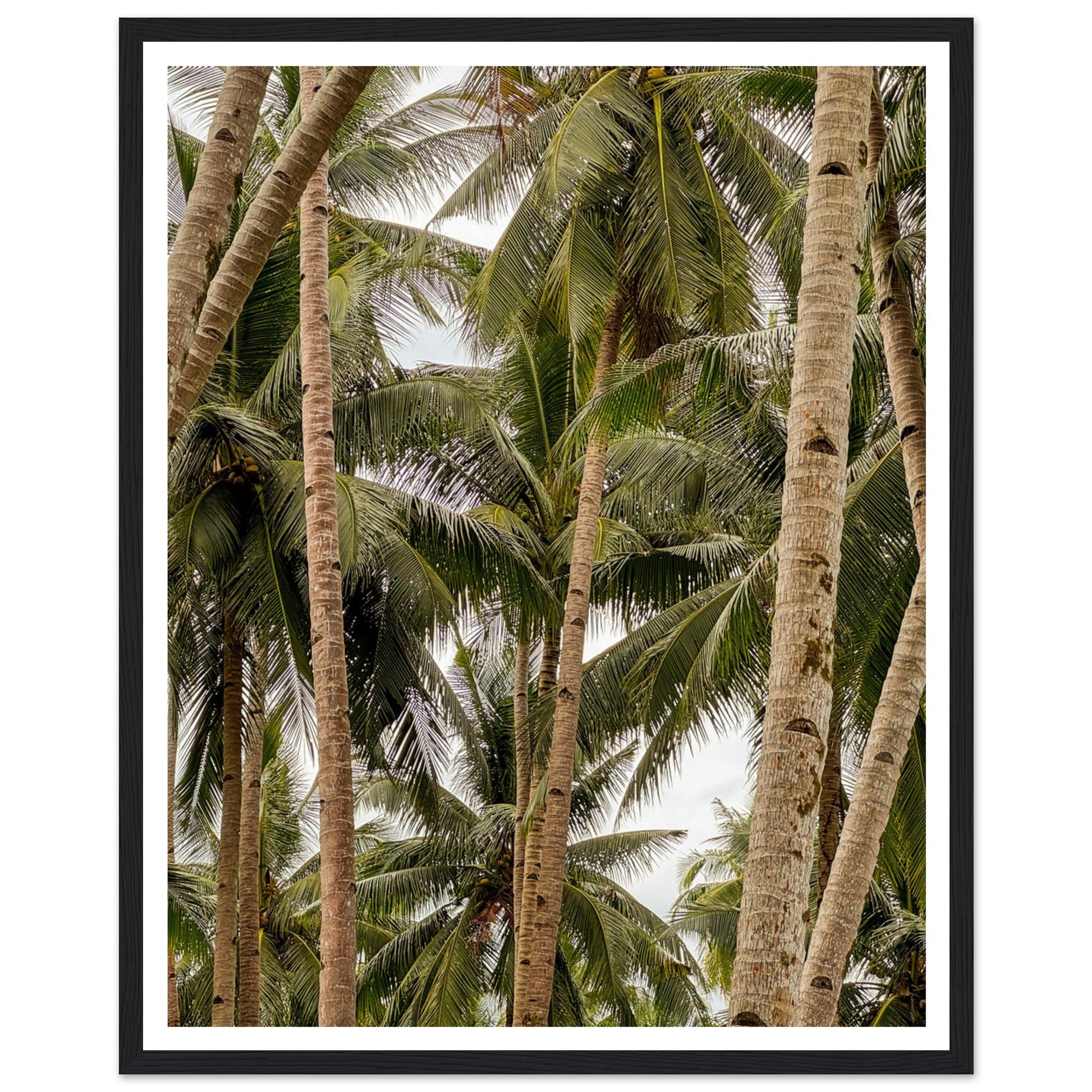 395456e7-b200-456e-adca-a76db400b715