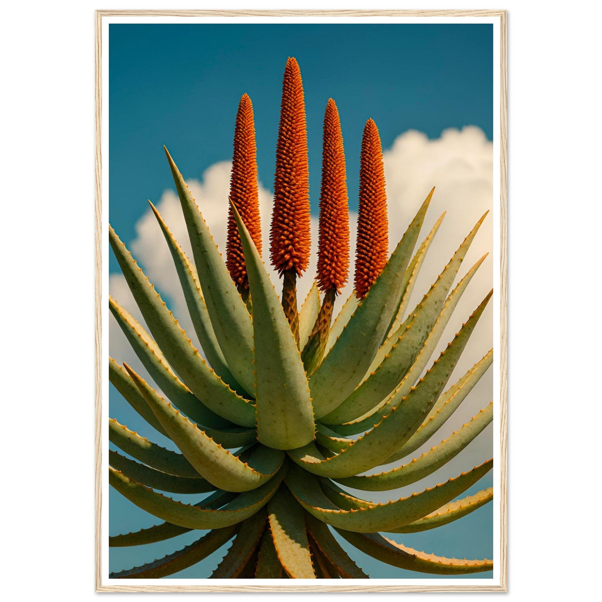 3bc06f84-b800-41cf-be2d-620360d4869e