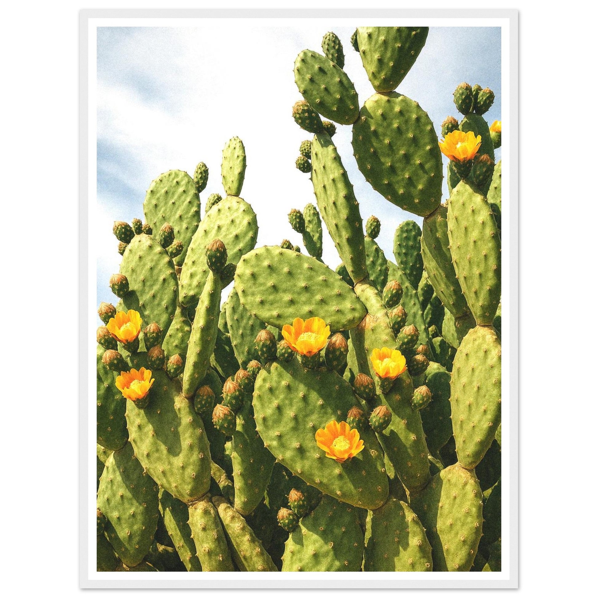 41630d40-2fb6-4041-bb1f-f64a8ac3e78f