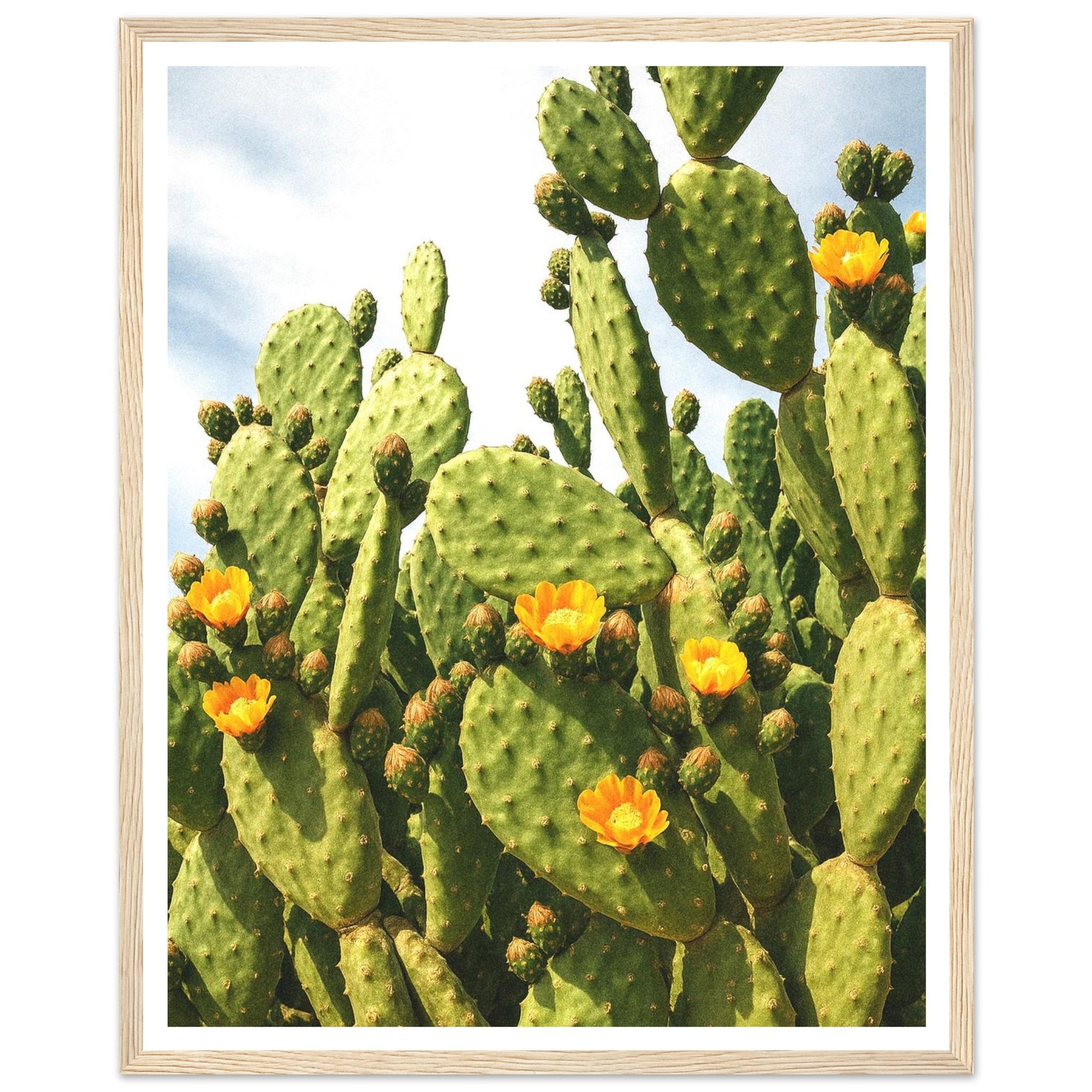 4d8f67cc-309d-4b73-89c9-a6efbead1716