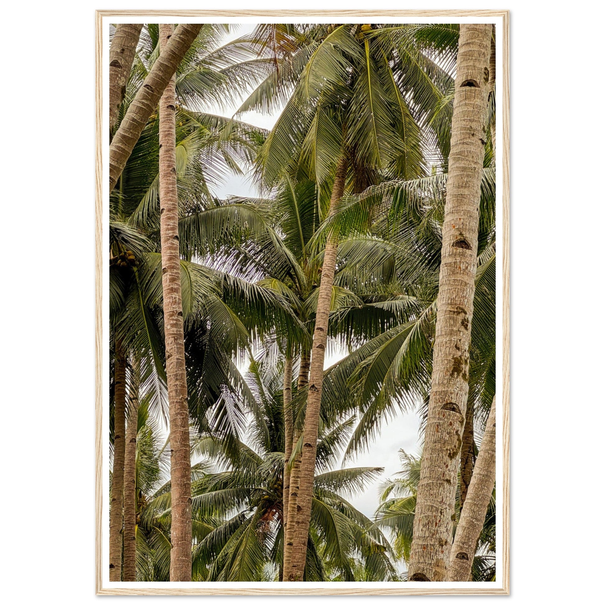 4e145ac0-71d7-4d7d-9e62-a423dfa1f55b