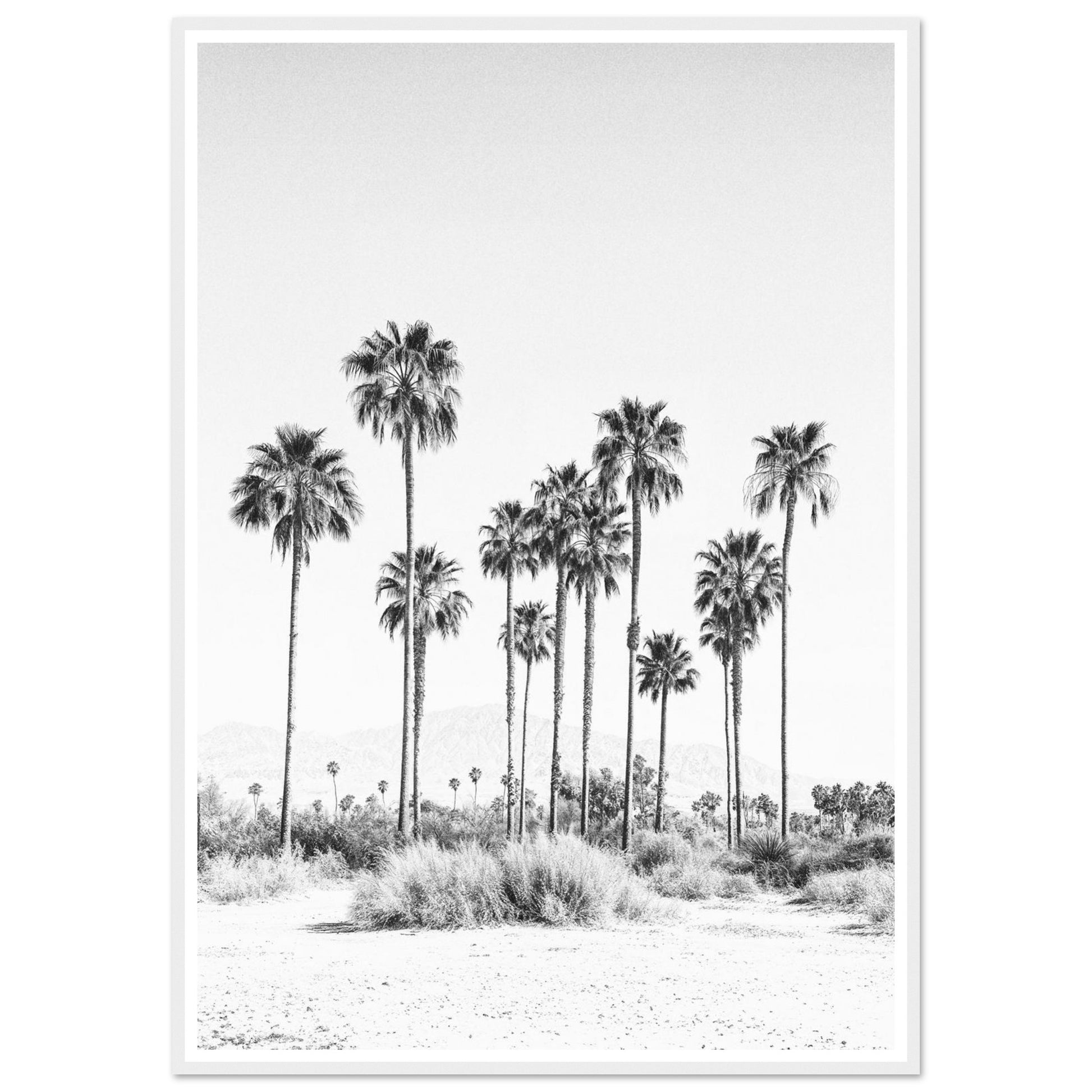 52643ffc-5b5c-4906-93e0-07f2701c441a