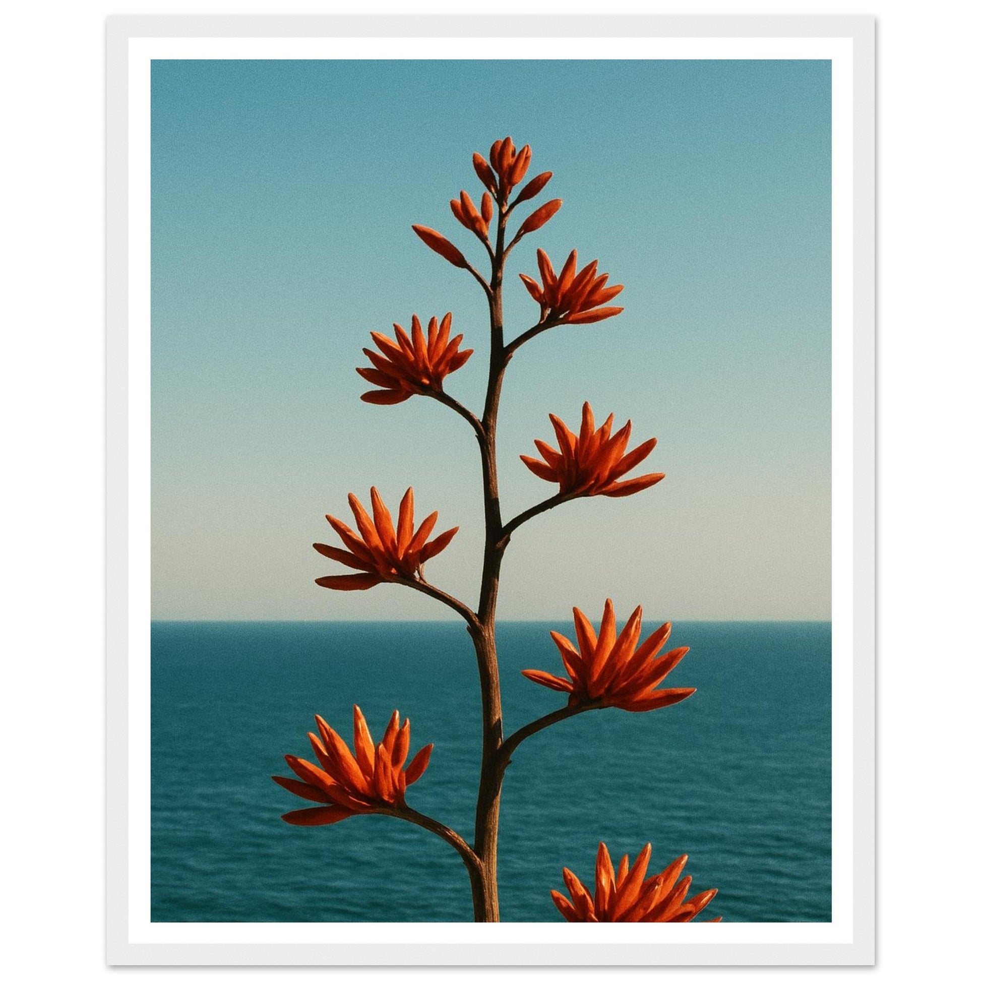 59427536-7377-4003-bbbf-d26e51613230