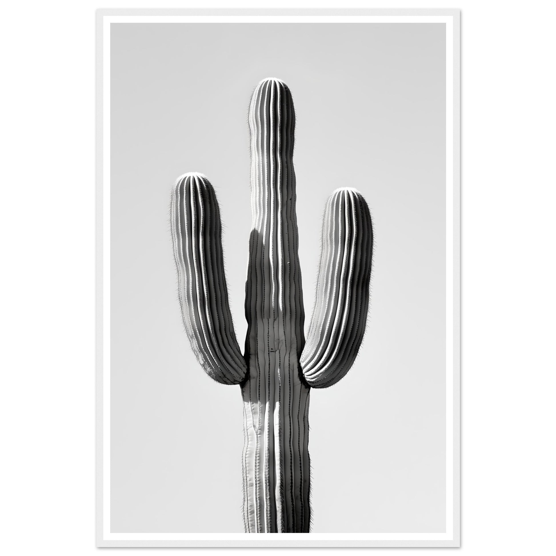 6fff5e1f-18bb-4716-aca9-bcd2b579fde6