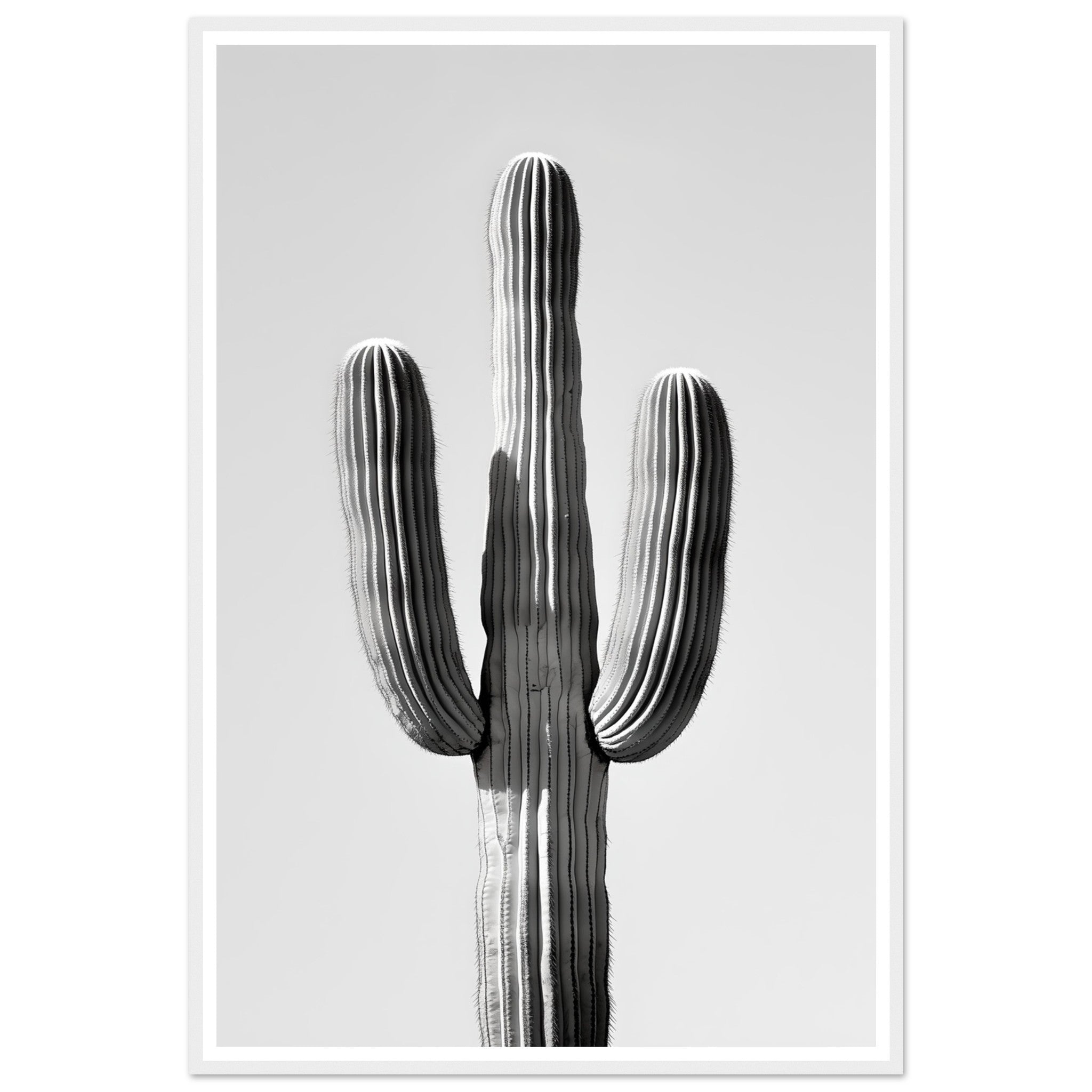 6fff5e1f-18bb-4716-aca9-bcd2b579fde6