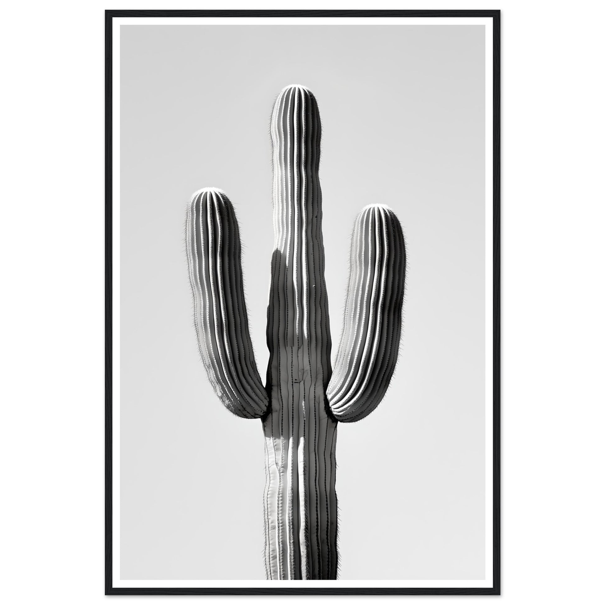 72e8d920-063b-4c60-aa9a-fe956df42c20