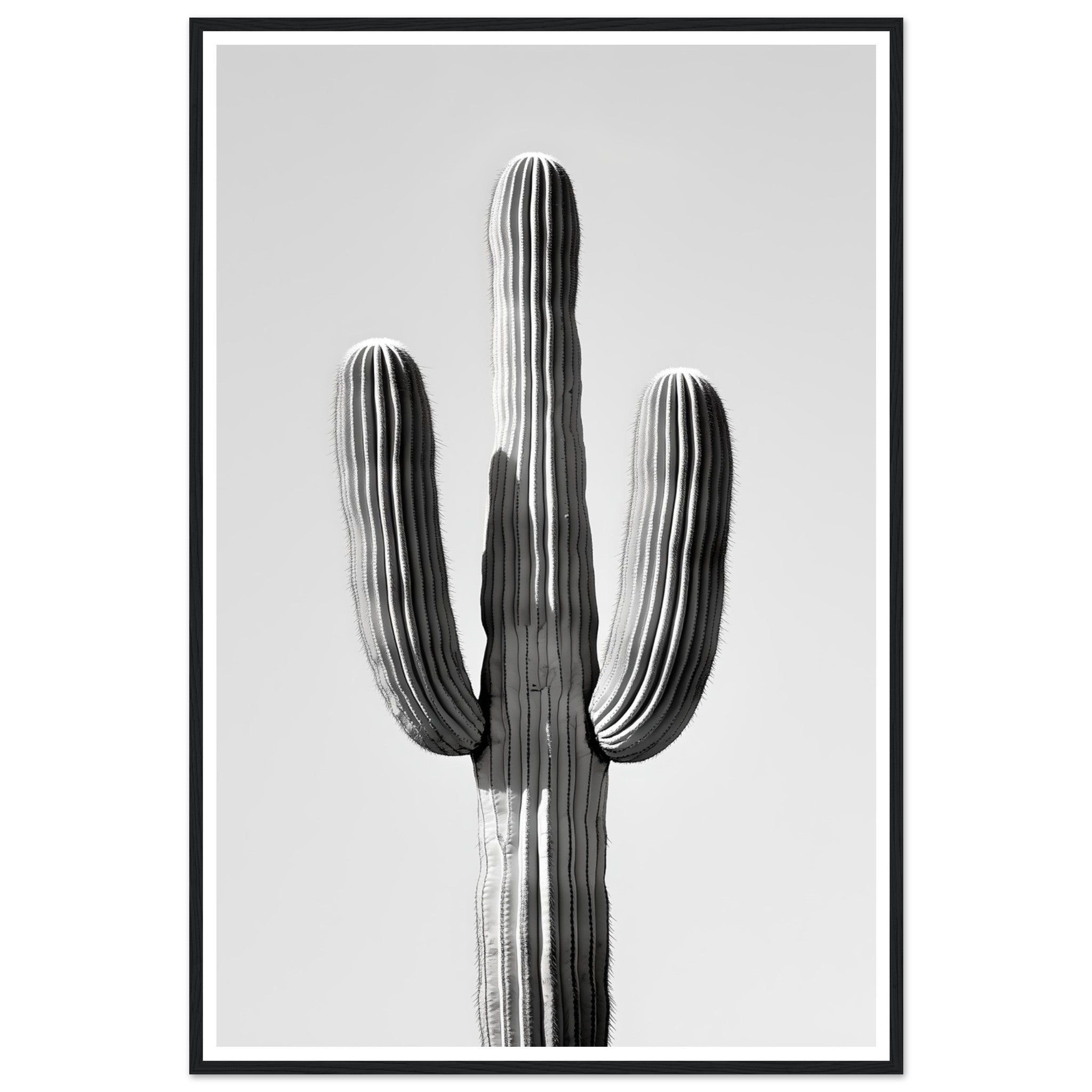 72e8d920-063b-4c60-aa9a-fe956df42c20