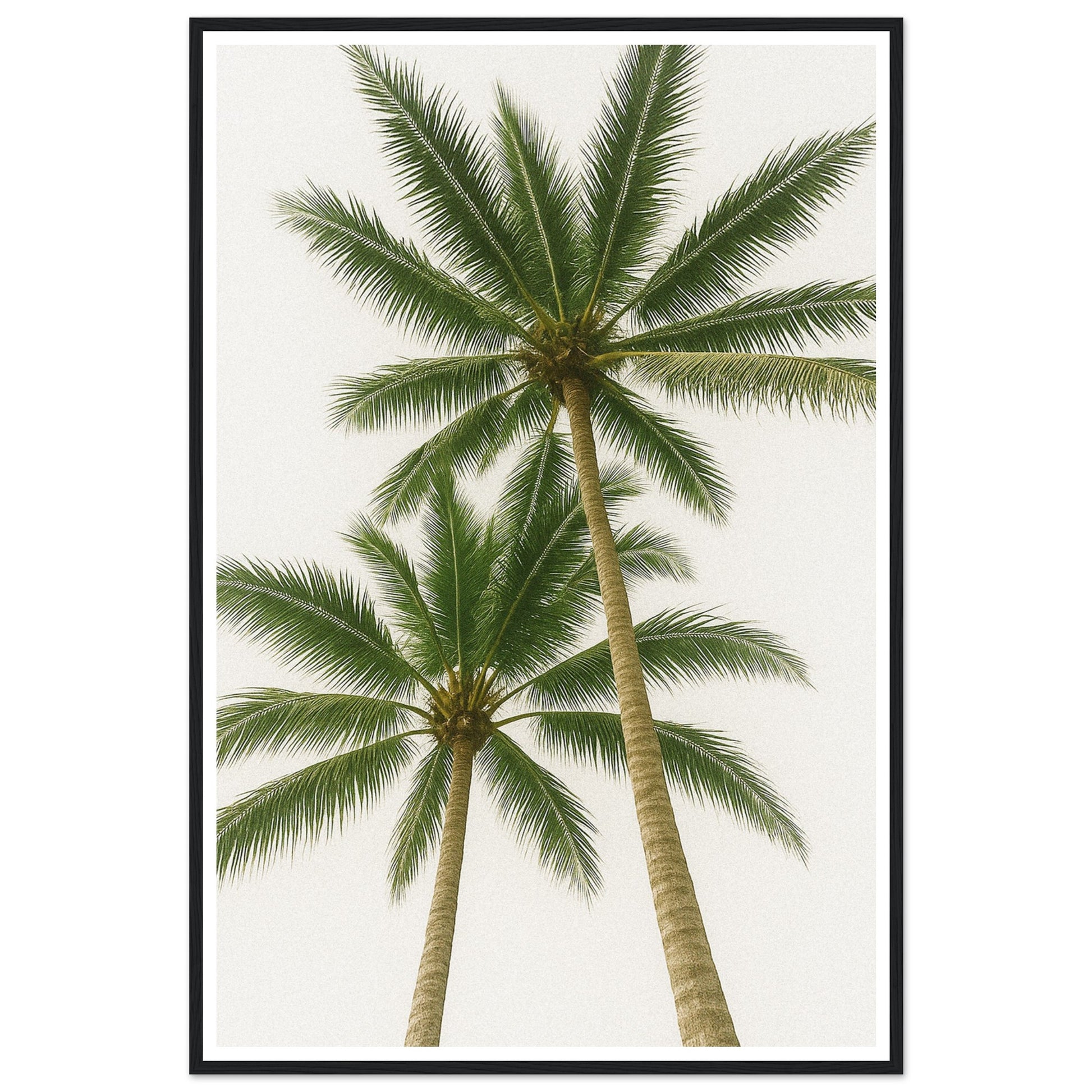 7402395c-c635-498b-afc2-8386a5b49a16