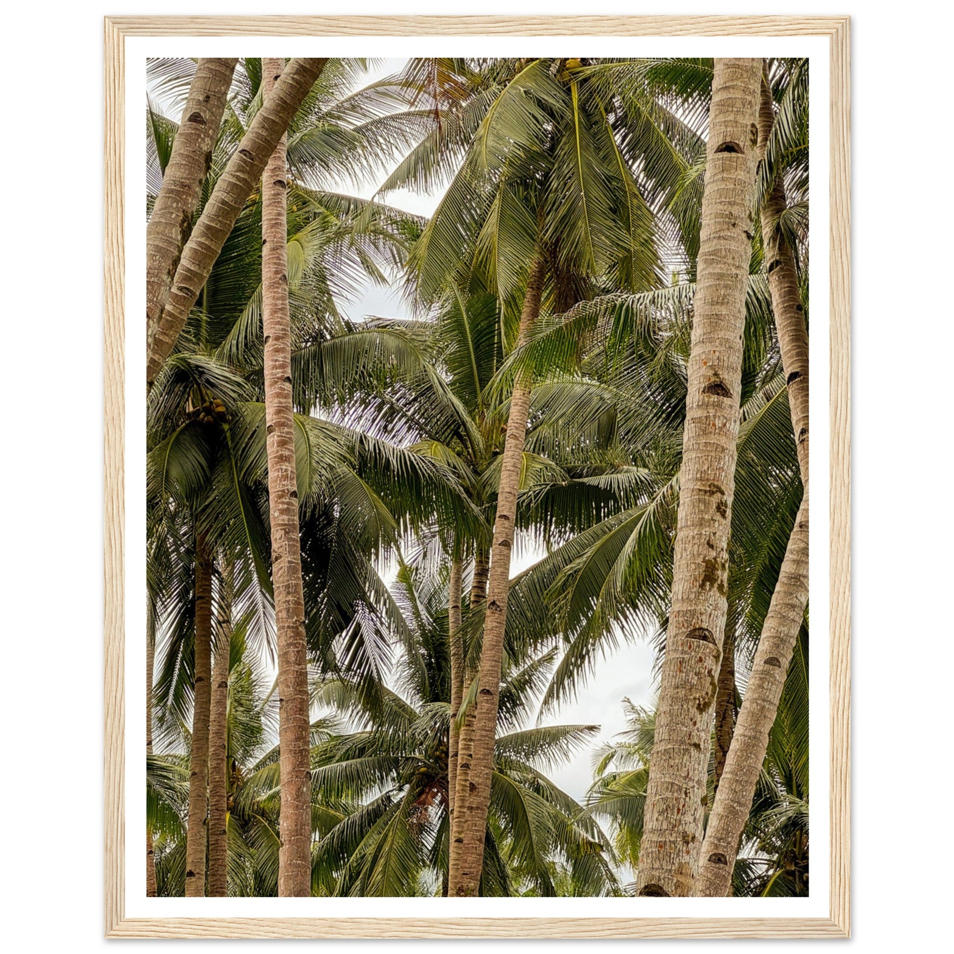 78301ca3-0000-43f7-8797-eb71b617f931