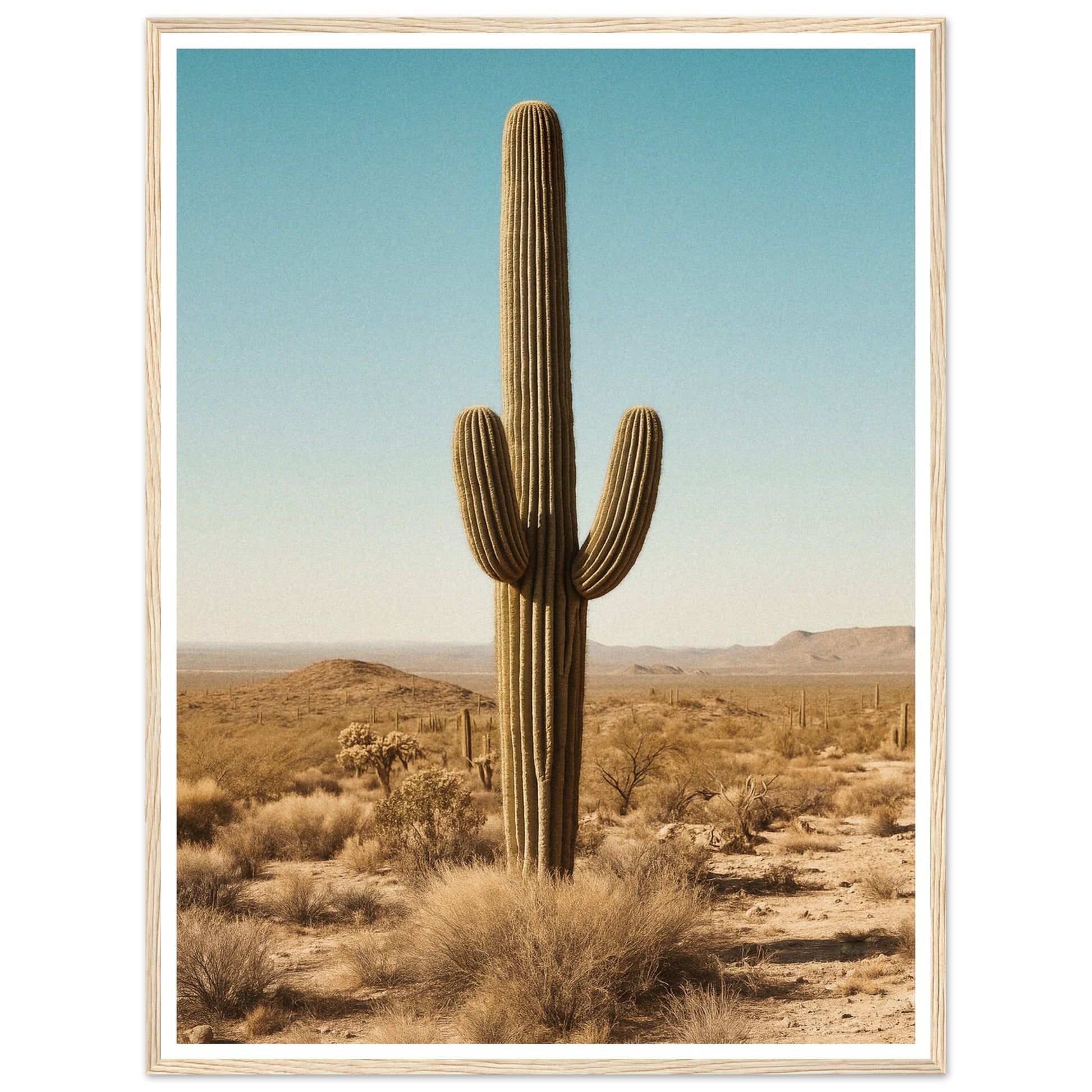 79f0ae1a-34ee-46e0-8c78-74fa4718797f