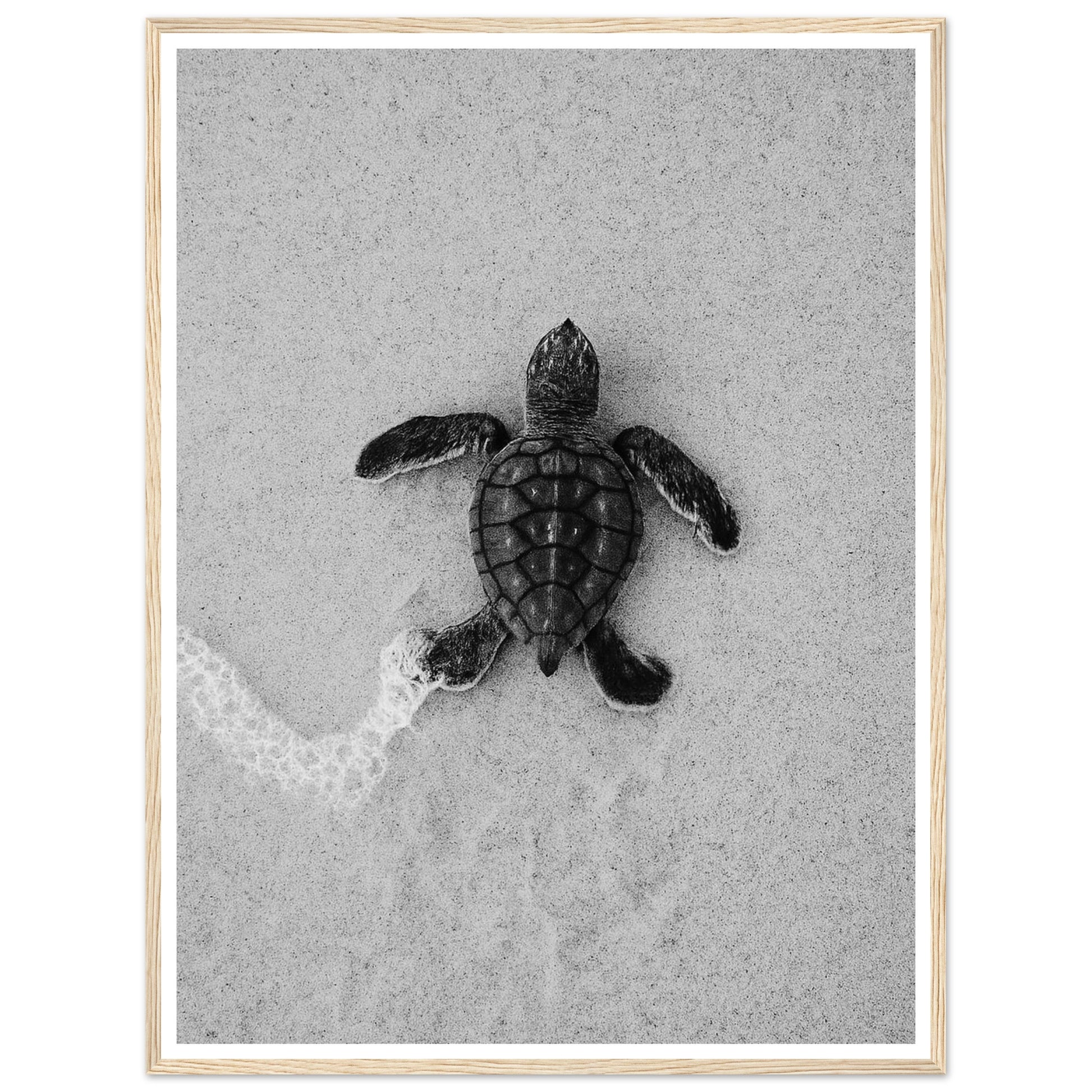 827603c7-efd7-4b93-8550-584cb63f8825