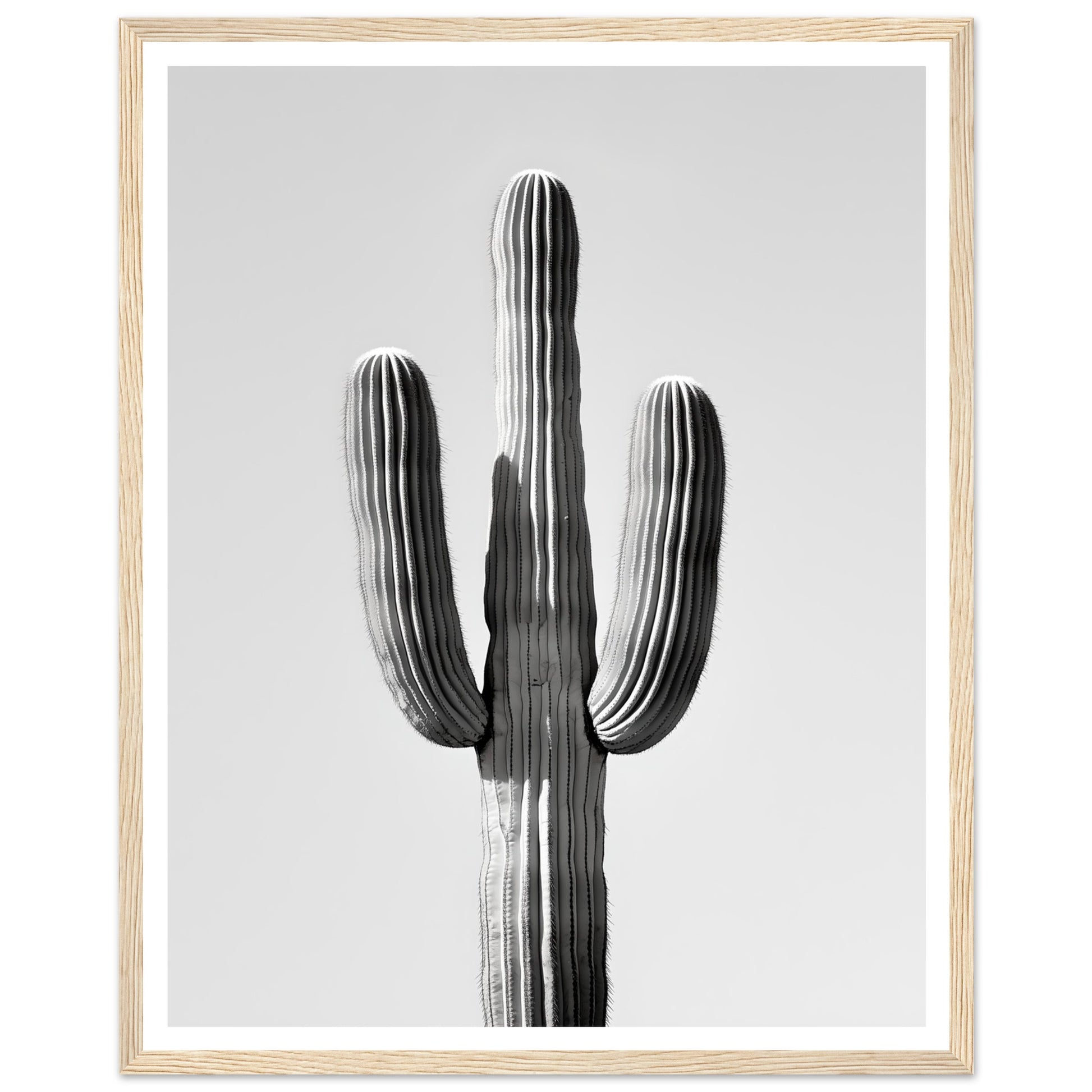 872d6b4a-8478-495b-a852-254deea20f4f