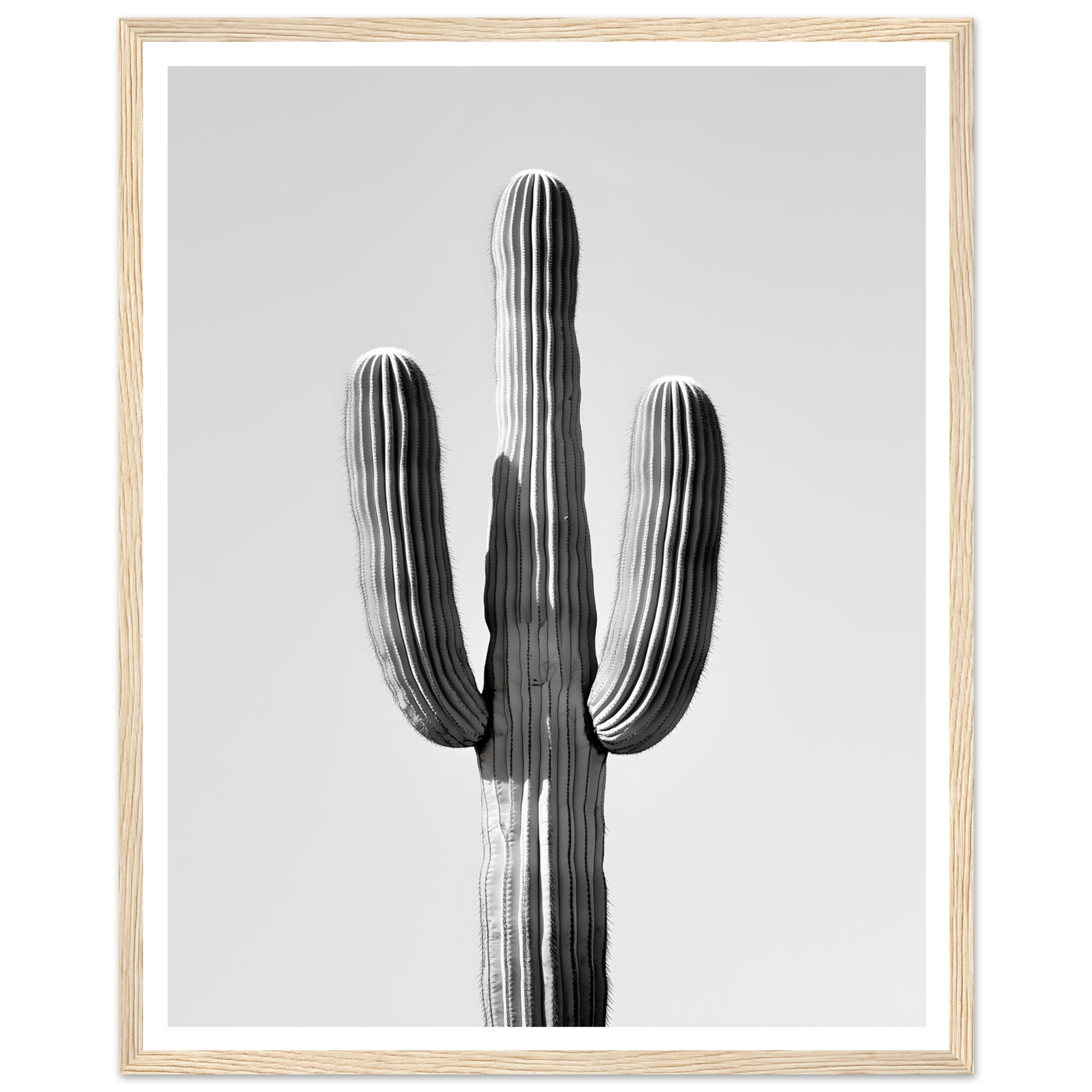 872d6b4a-8478-495b-a852-254deea20f4f