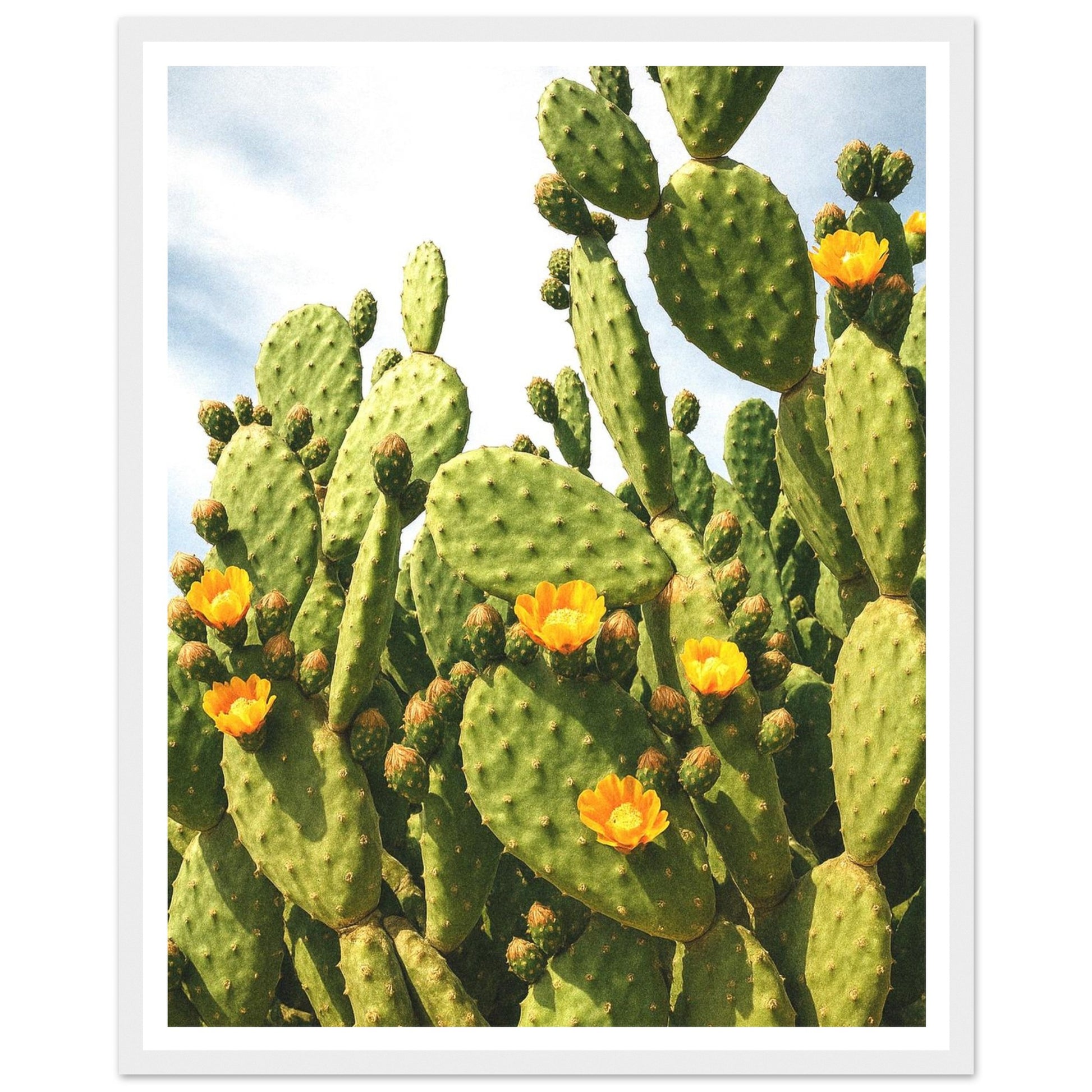 904f9dd9-d56b-46c7-8d4f-74fe6797243d