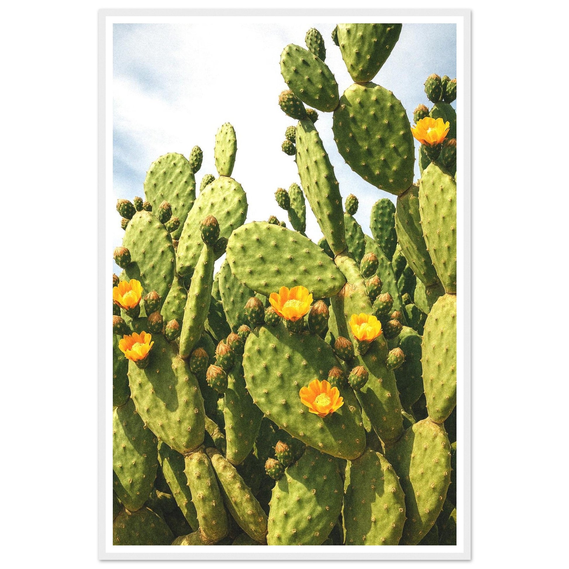 94732fb3-2ed0-4452-bf8d-3863a65f6c4a