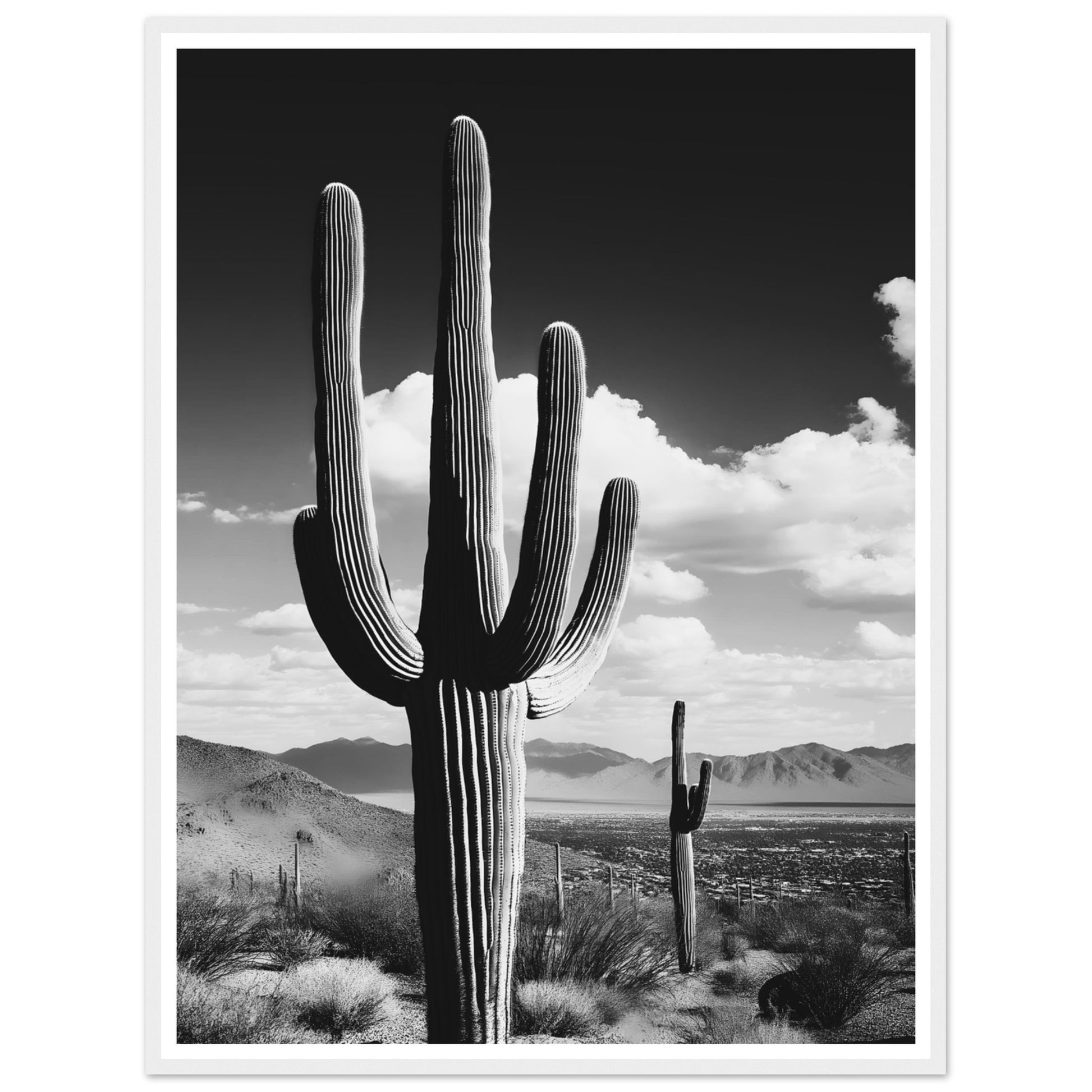 992e291f-650a-4558-9356-fb0c16451884