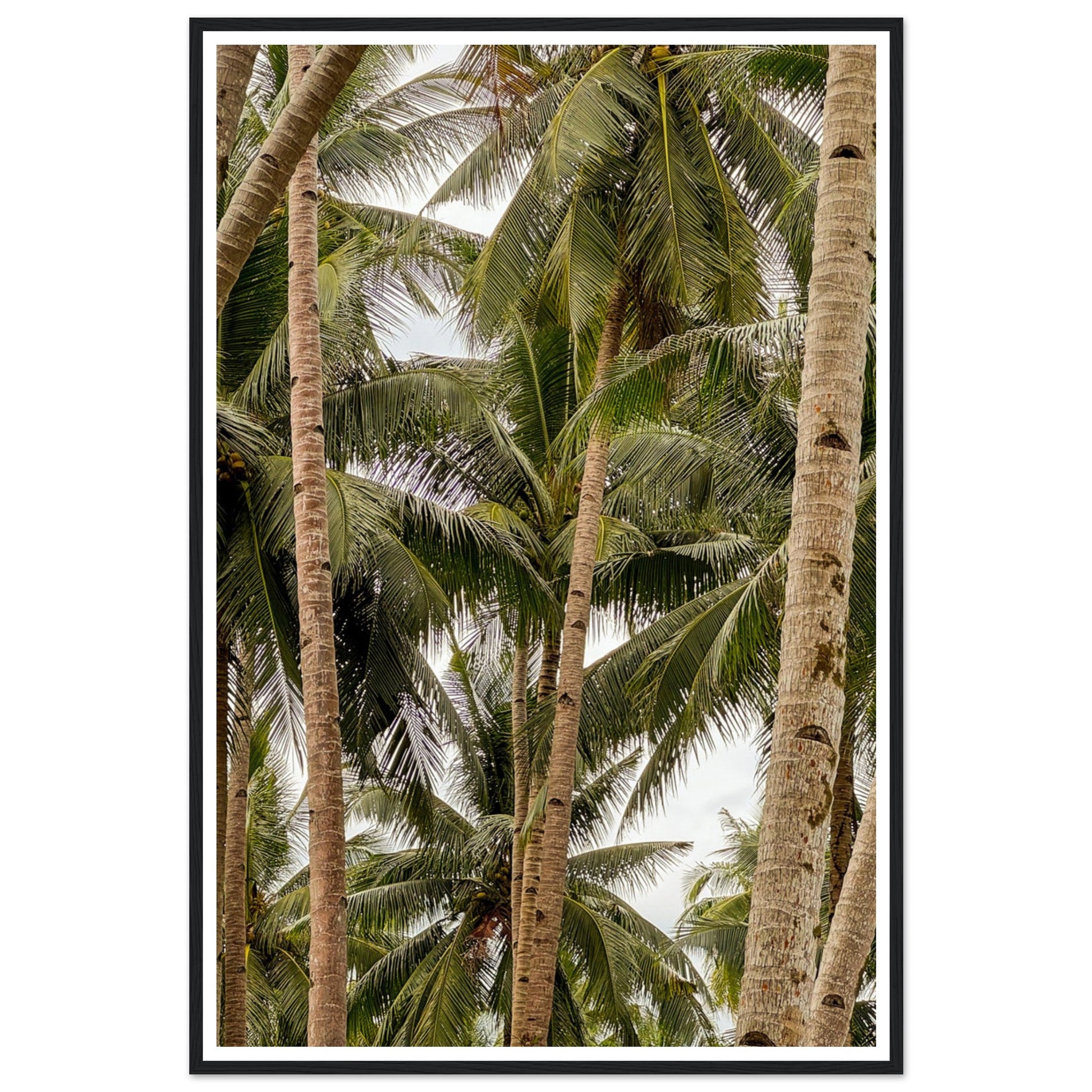 9bac146b-2169-41fc-8929-fc5a48c533f0