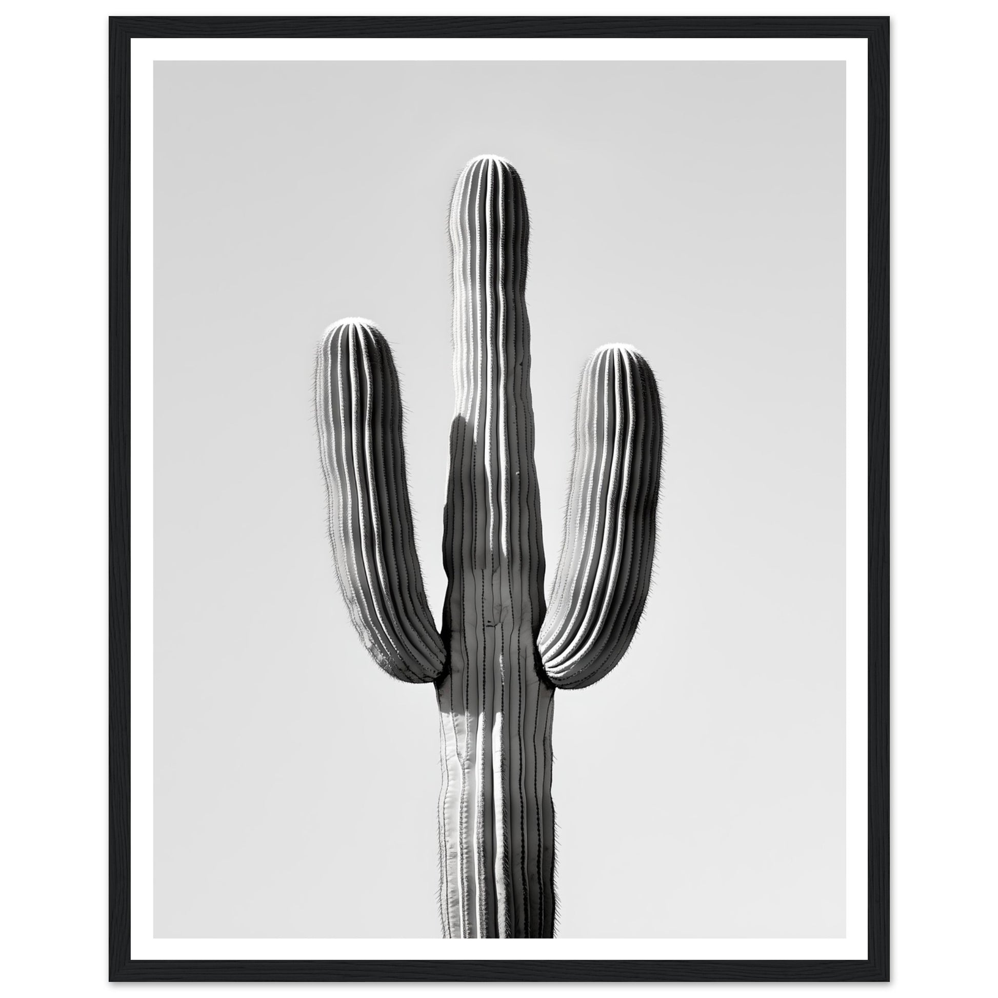 9ccf87b3-b311-4ba2-9cab-3f77909e152e