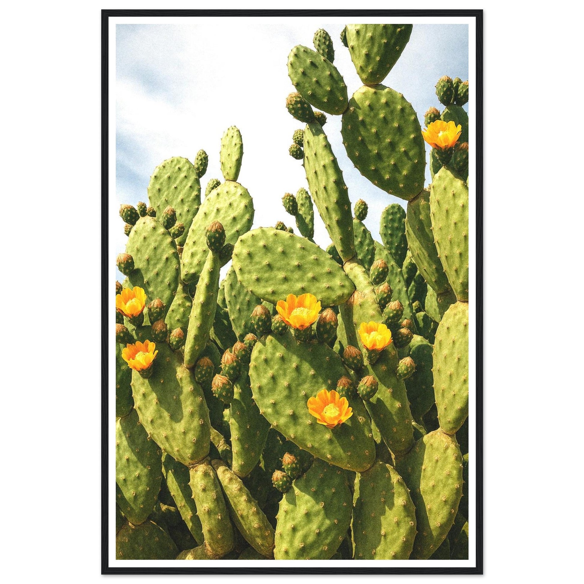 a188d6a1-2819-4a08-8c37-82d2bce802df