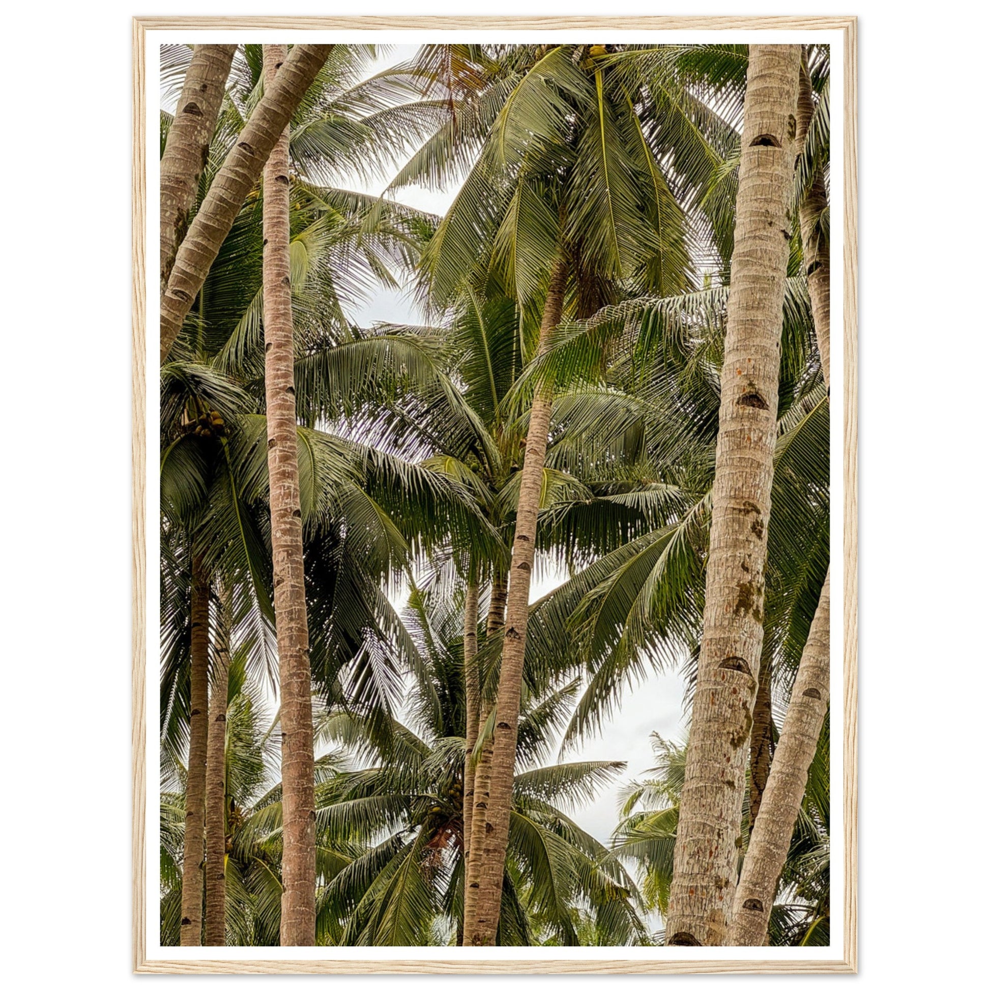 a388f800-24d5-4c0f-8539-1c01777806f0