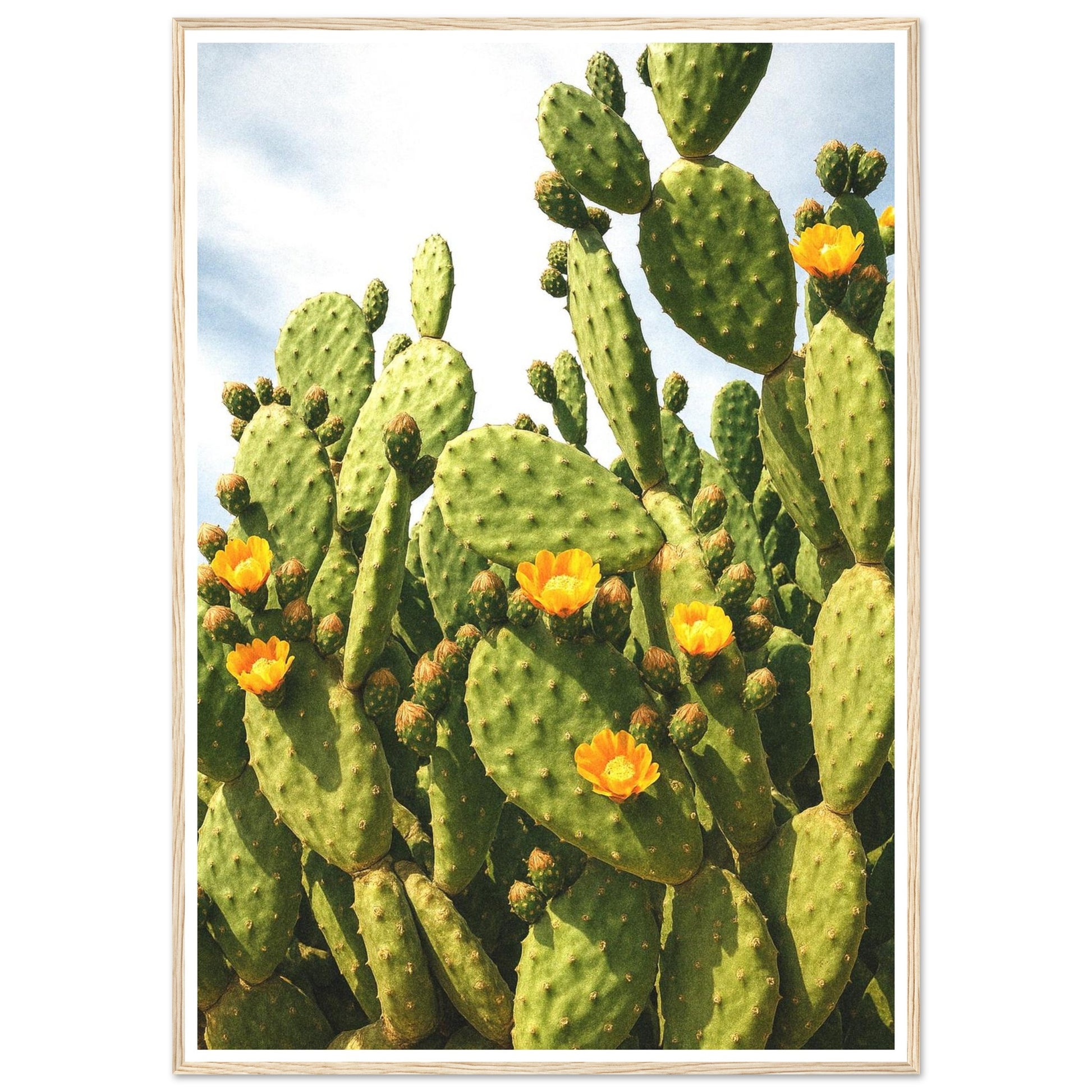 a4e06908-72ea-4523-b975-5523f8f348af