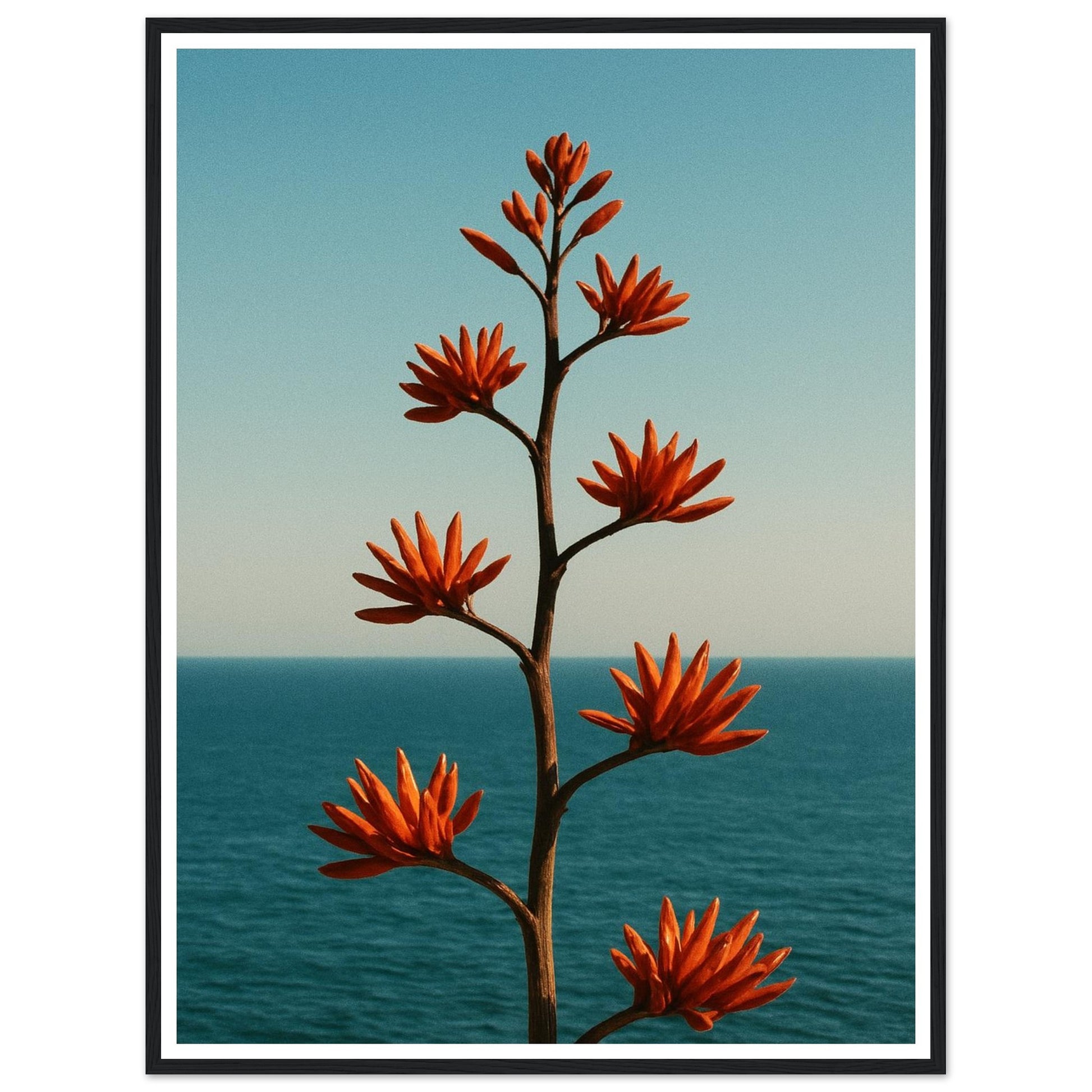 a7054227-adf8-4701-8a56-920e9d460055