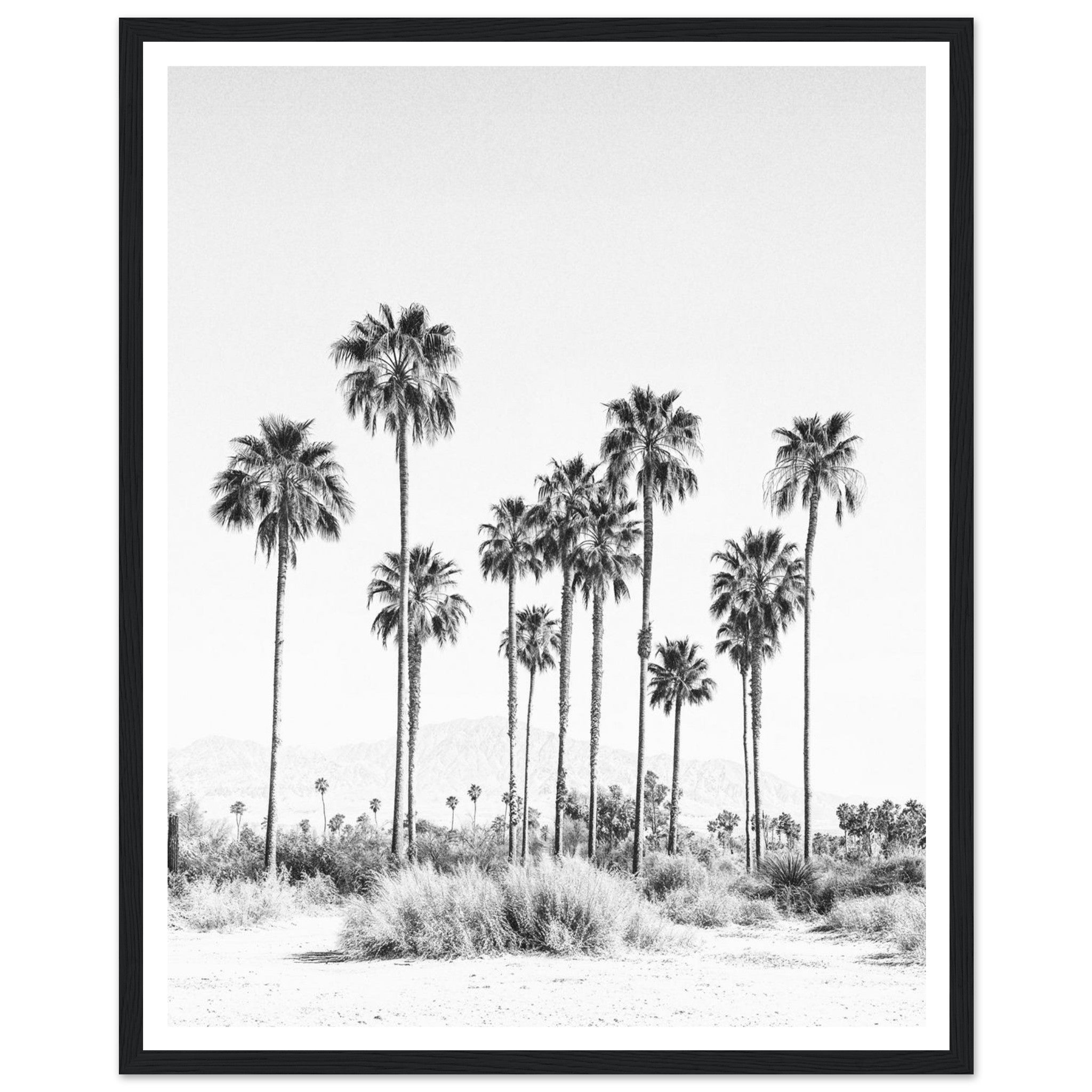 a74a5e43-2f8a-4d68-a356-158cd2eab351