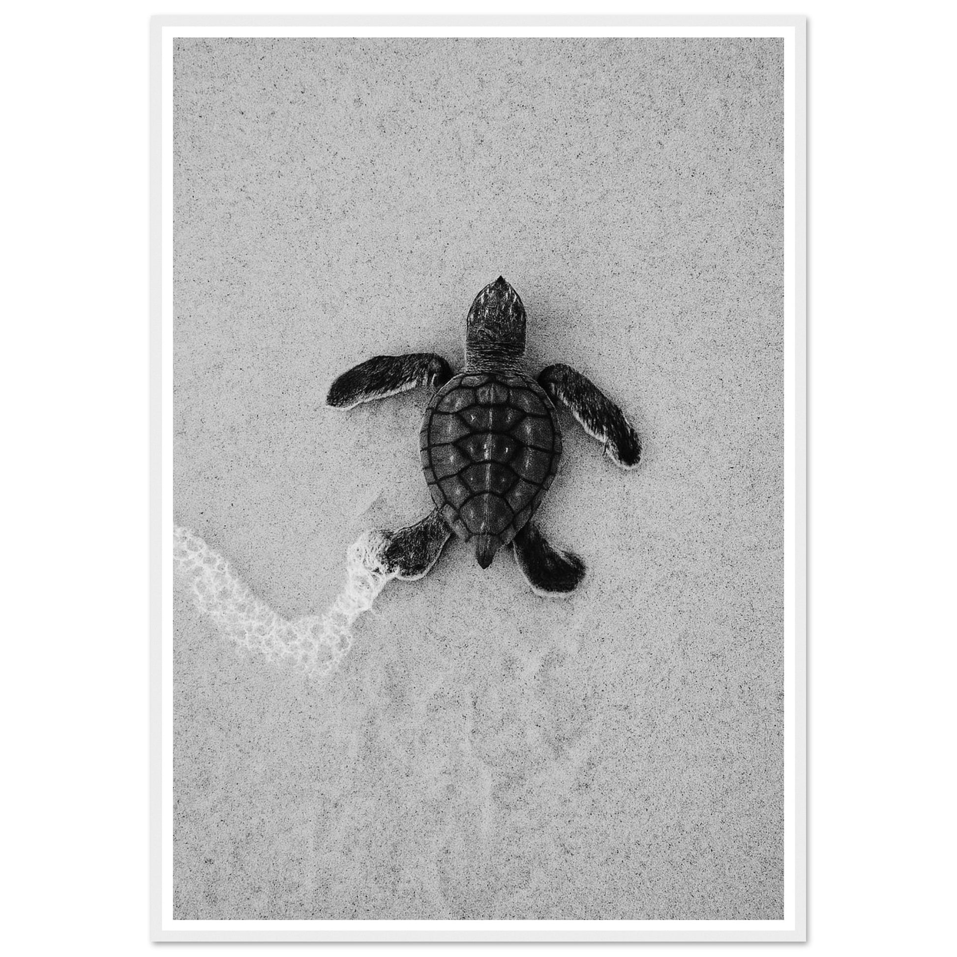 ab64fd91-033e-4ea2-a7ca-ff5b3e713f8d