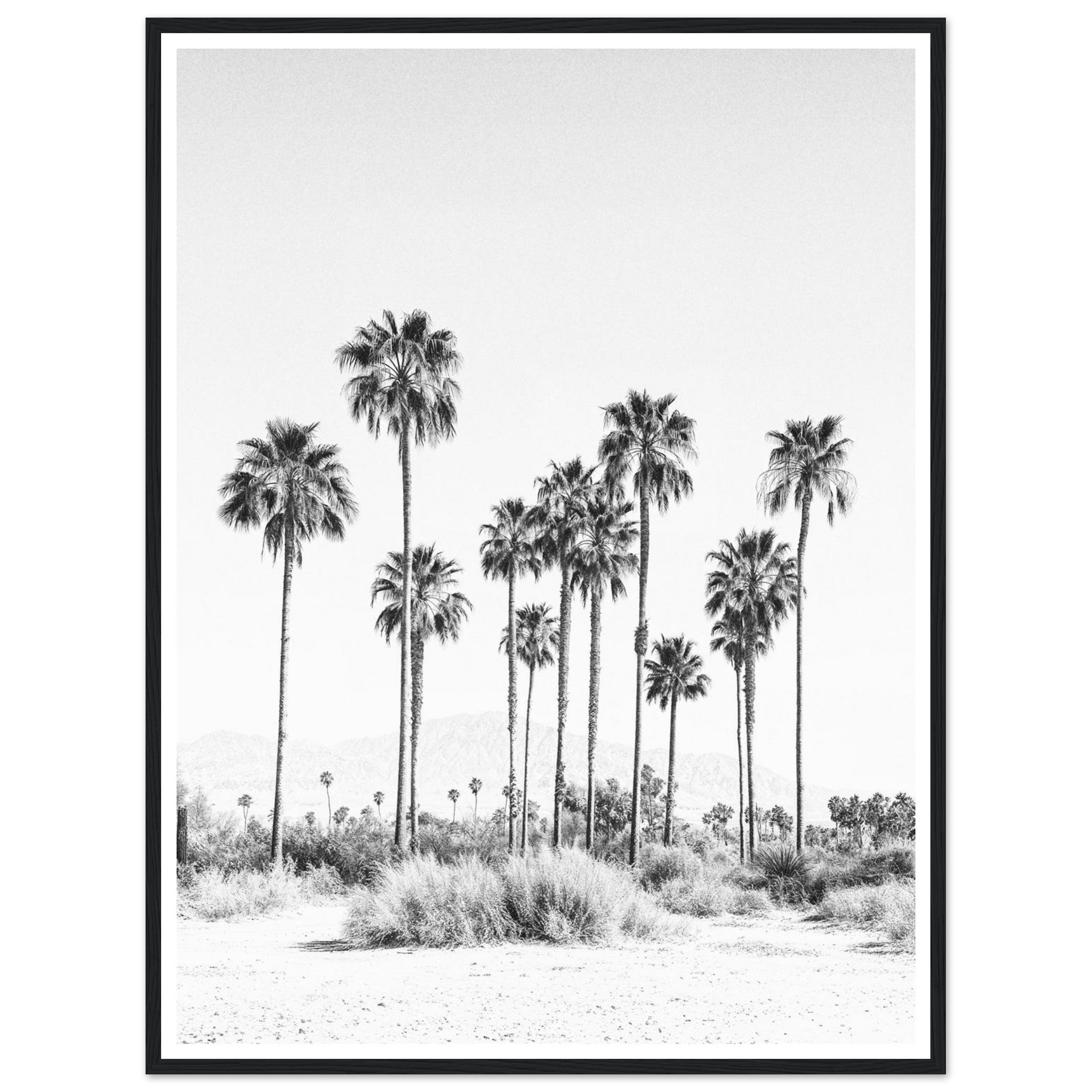 ab902981-7e83-4272-8ebe-1872d6faa3b6