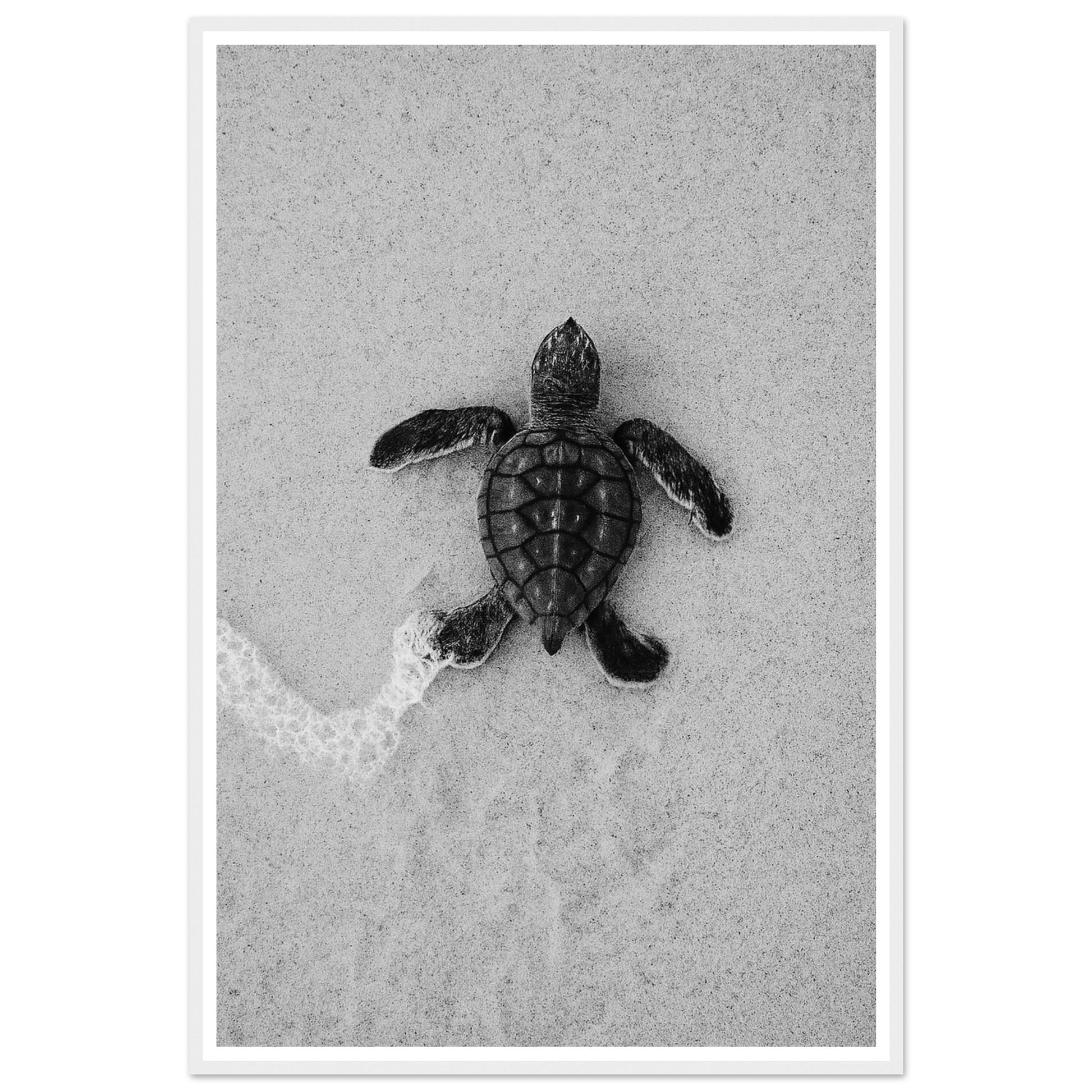 ad4af831-1c3b-4d09-af01-3e6c623302a3