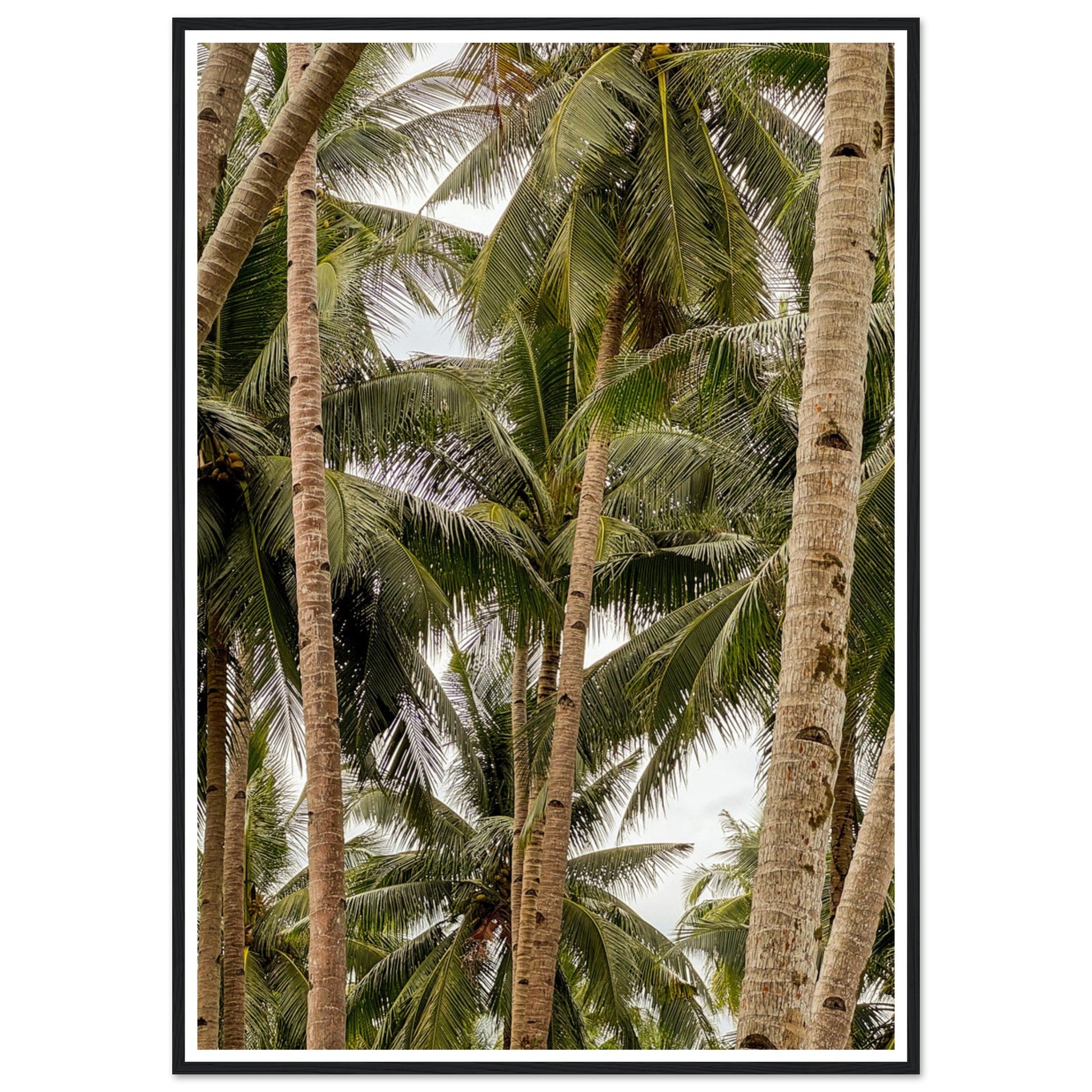 aeb90b9f-9656-465e-97fc-8bdb57d1d92f