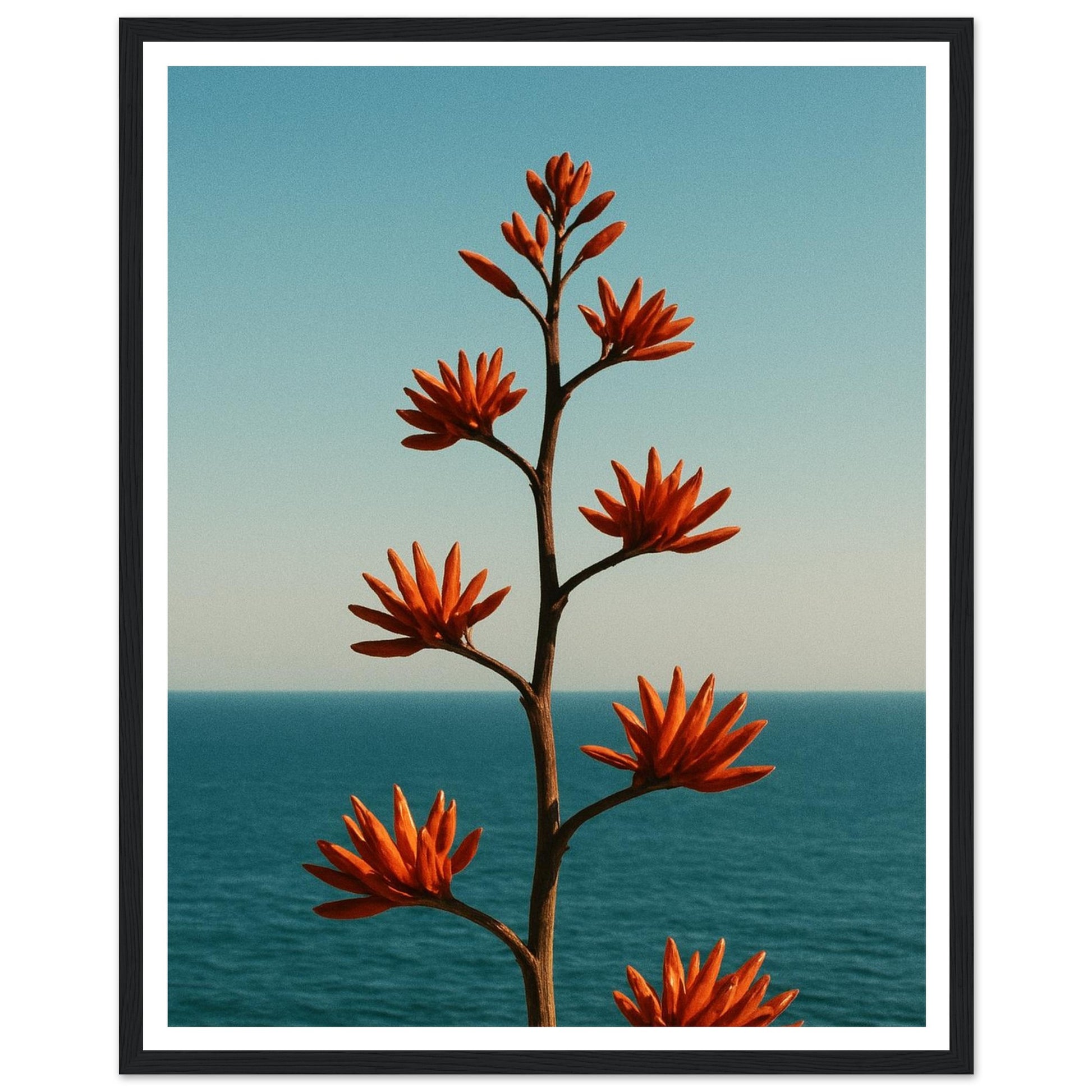 aec9cde2-86fb-4da1-bd3c-0dd3cec58170