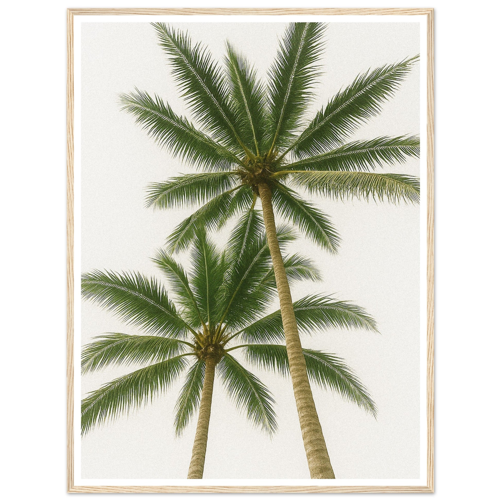 b06216c9-b74c-4161-a4f5-e14ff5655653